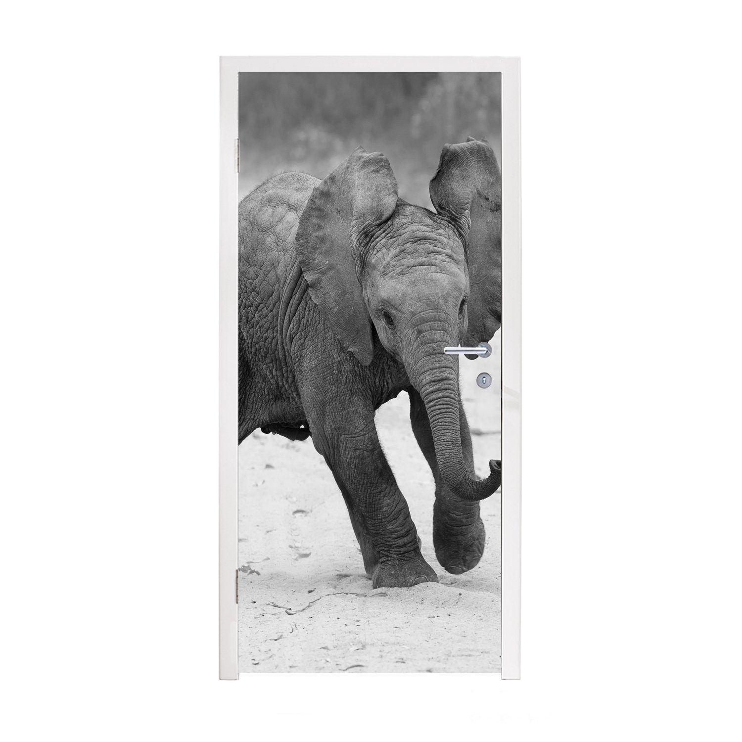 - - und MuchoWow weiß, Elefant bedruckt, Türtapete - Schwarz Fototapete Matt, 75x205 cm Tiere für Tür, Kröte St), (1 - Baby Türaufkleber,