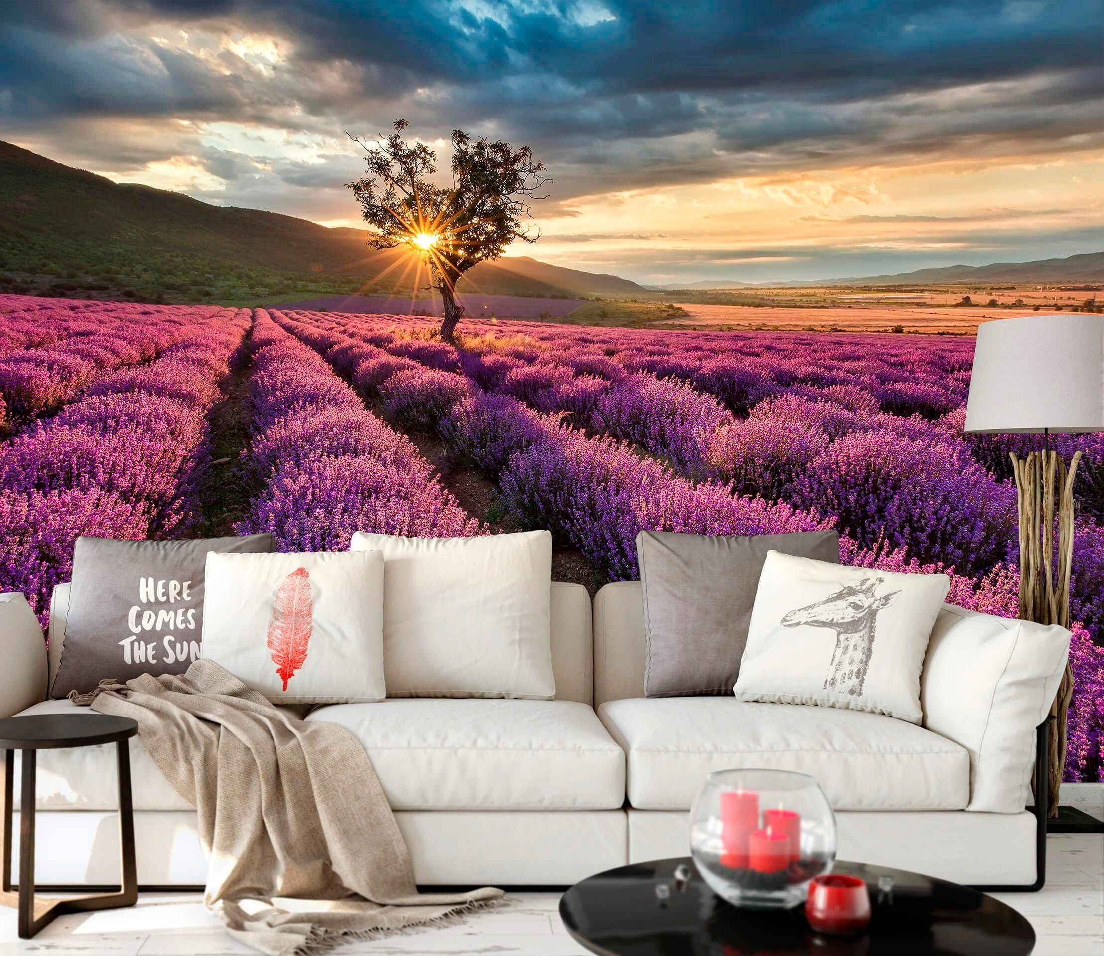 living walls Fototapete Lavendelfeld Lavendelblüte, glatt, abstrakt, naturalistisch, Motiv, Vlies, Wand, Schräge Tapeten Wohnzimmer Schlafzimmer Küche modern Büro