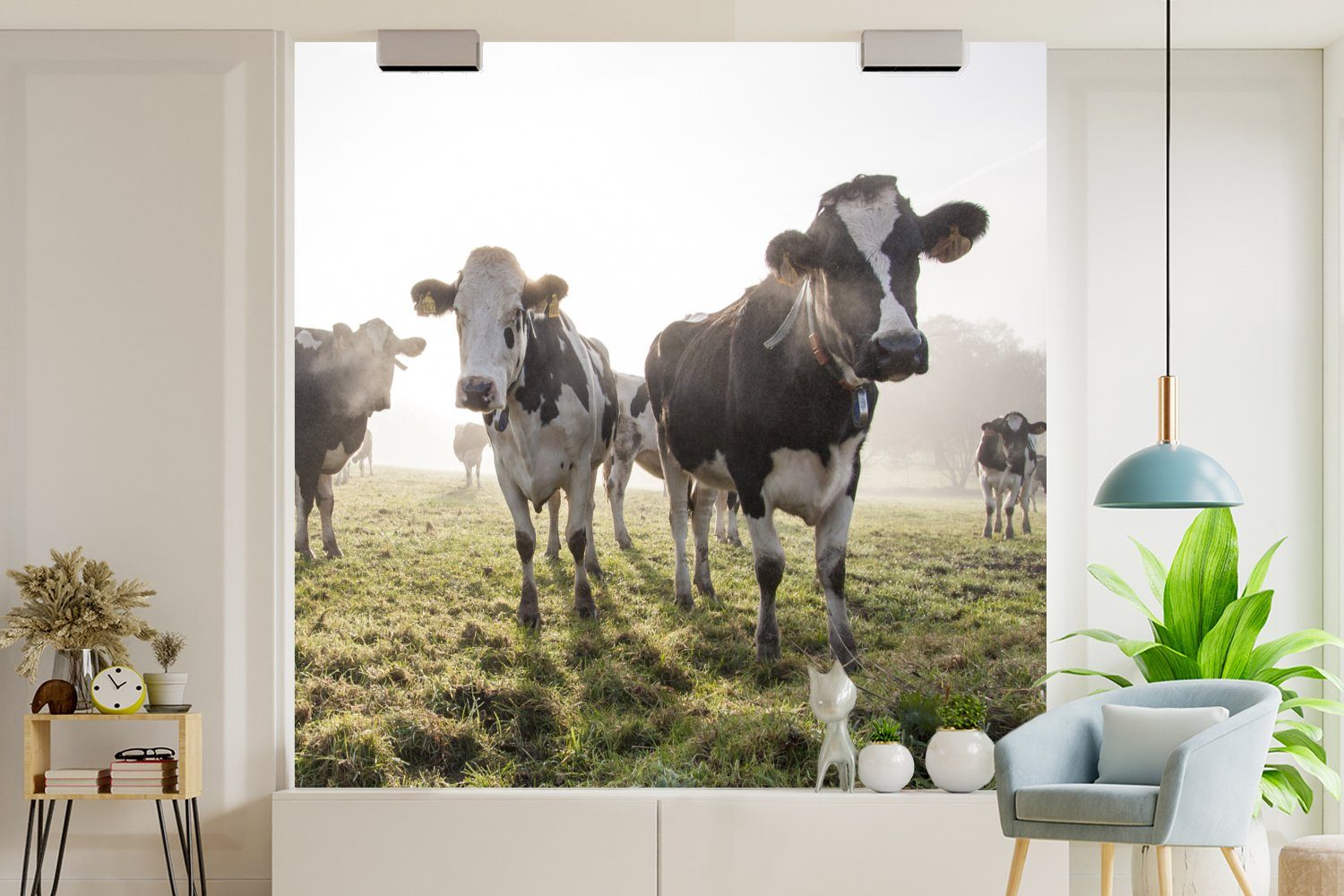 - Wohnzimmer St), bedruckt, Tiere, Vliestapete für - Fototapete Kühe (4 Fototapete - Matt, MuchoWow Küche, Licht Schlafzimmer Gras