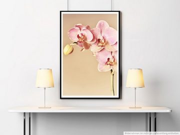 Sinus Art Poster 90x60cm Poster Naturfotografie Rosa Orchideenzweig mit altrosa Hintergrund