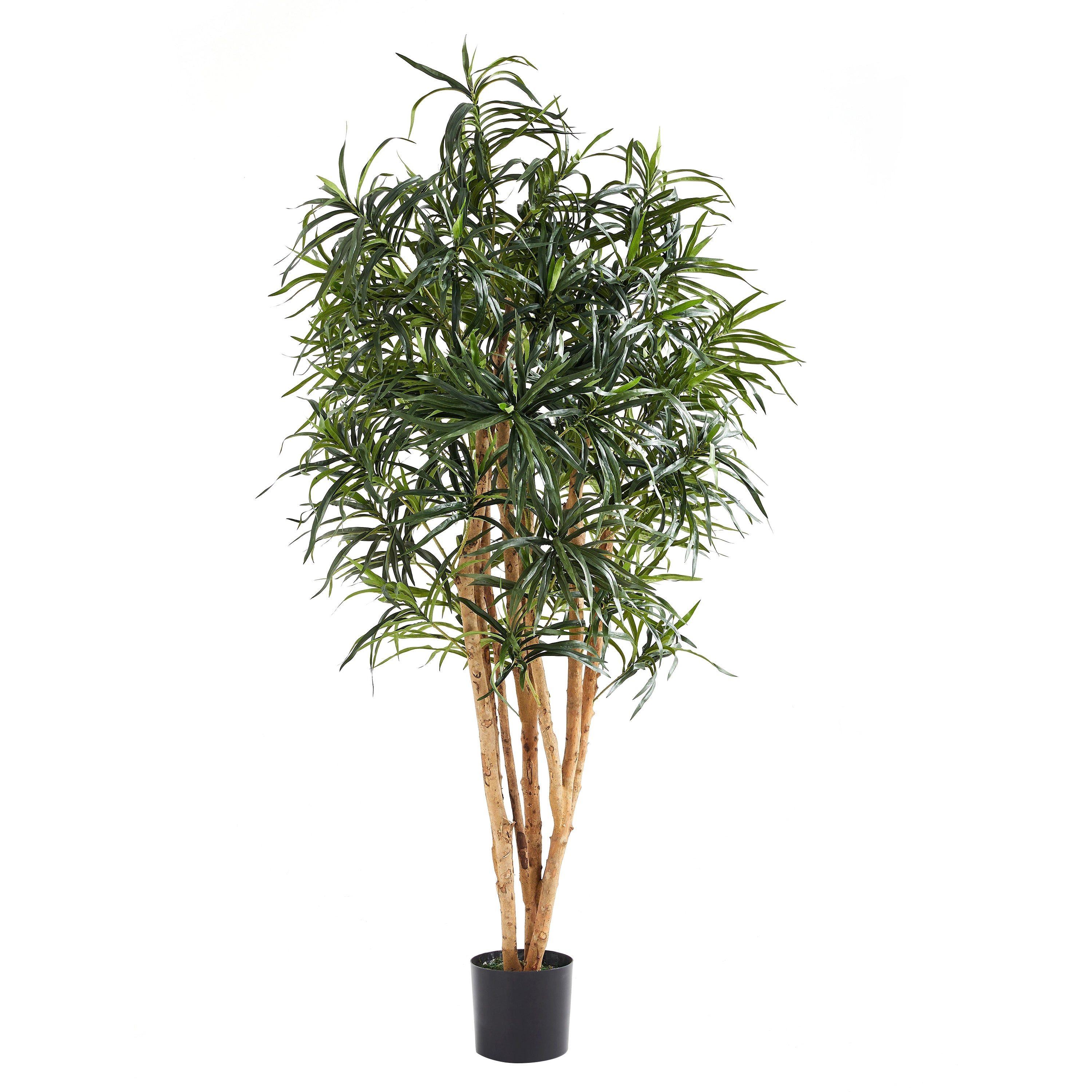 Kunstbaum Künstliche Dracaena Reflexa – Maelis, 180 cm, aplanta