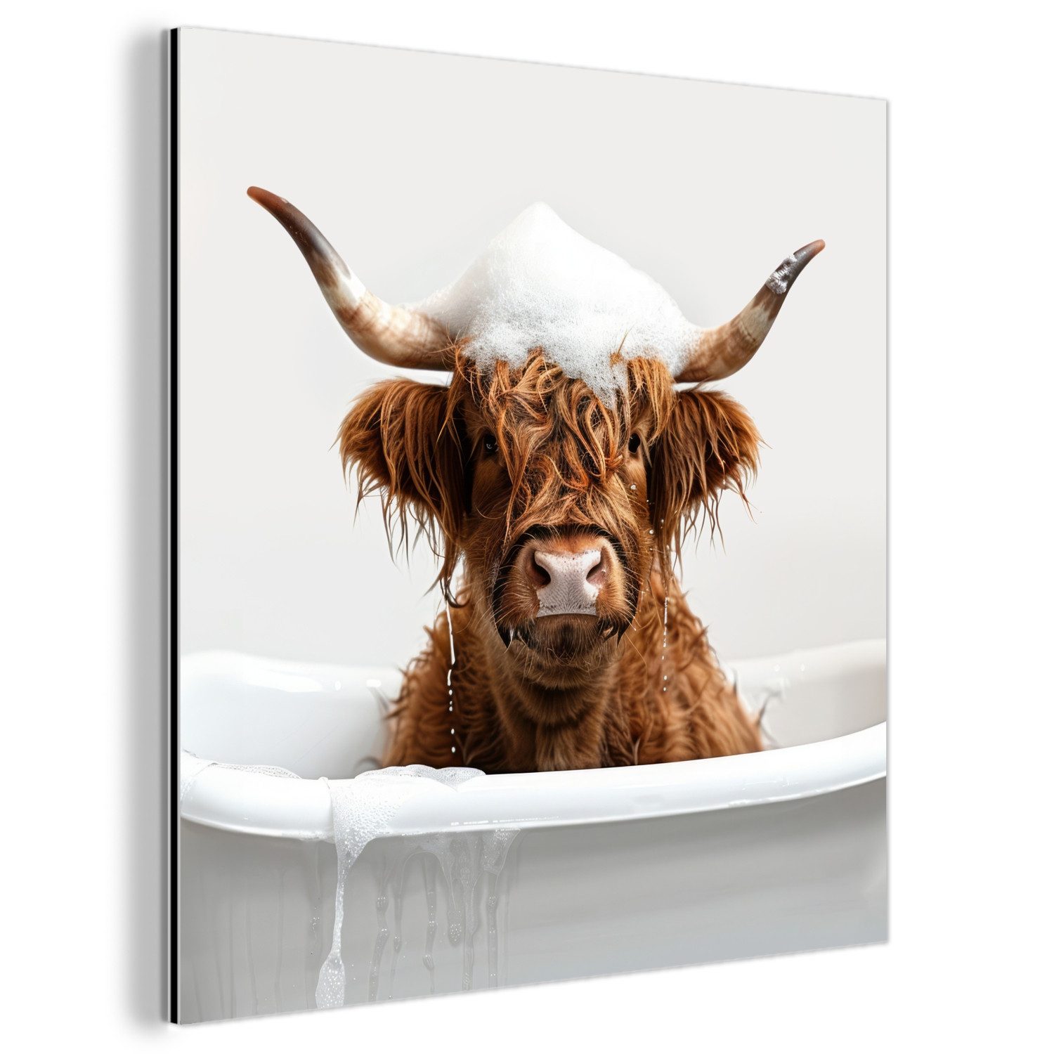 MuchoWow Metallbild Schottischer Highlander - Bad günstig online kaufen
