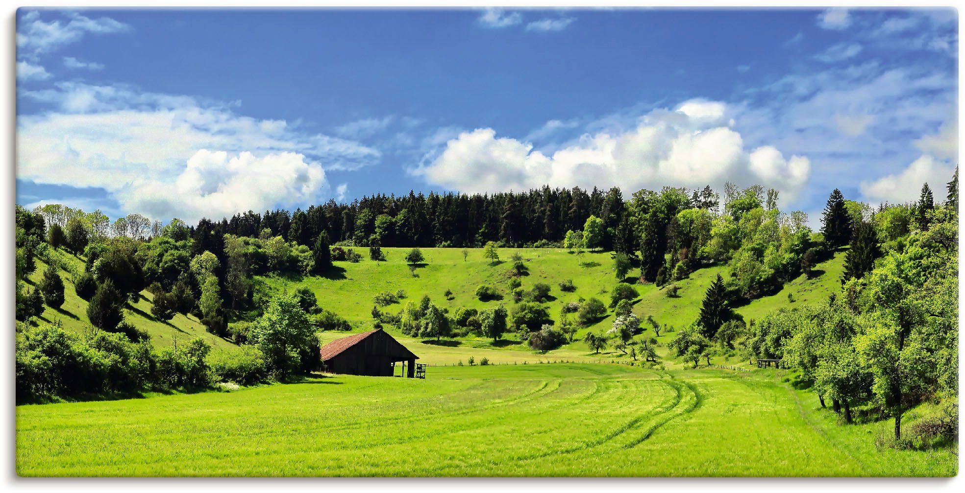 Schwarzwald, (1 Artland oder Wandbild als Landschaft Poster im Baumbilder Leinwandbild, versch. Alubild, Größen & St), Wandaufkleber in Traumhafte Wiesen
