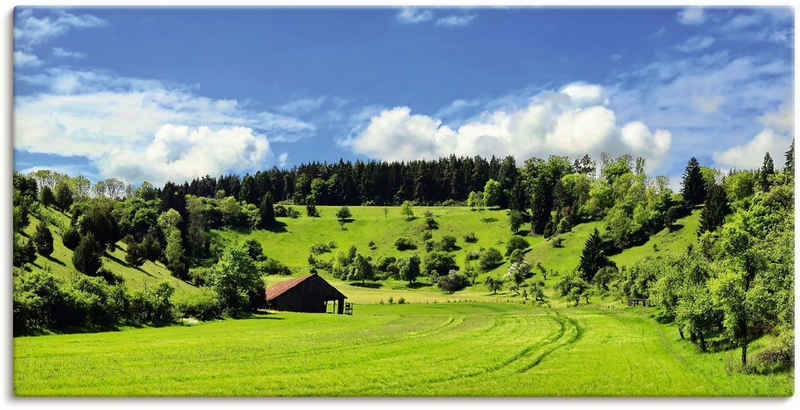 Artland Wandbild Traumhafte Landschaft im Schwarzwald, Wiesen & Baumbilder (1 St), als Alubild, Outdoorbild, Leinwandbild, Wandaufkleber, versch. Größen