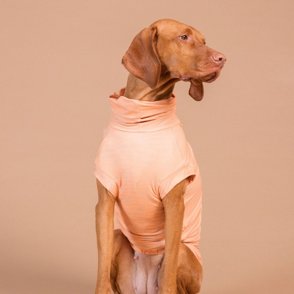 PAIKKA Hundeshirt Hundeshirt Sonnenschutz/Antiparasit "UV & Bug Shirt" pfirsich