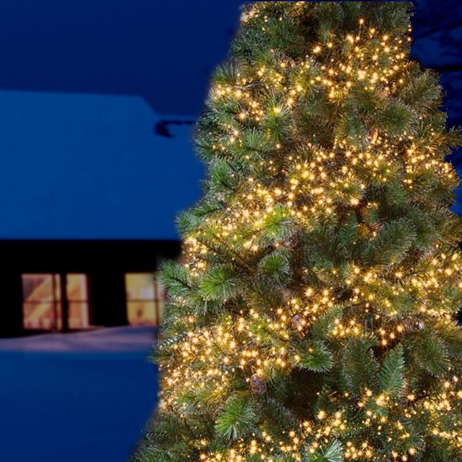 BURI Lichterkette LED Cluster-Lichterkette 10,5m Büschellichterkette Weihna günstig online kaufen