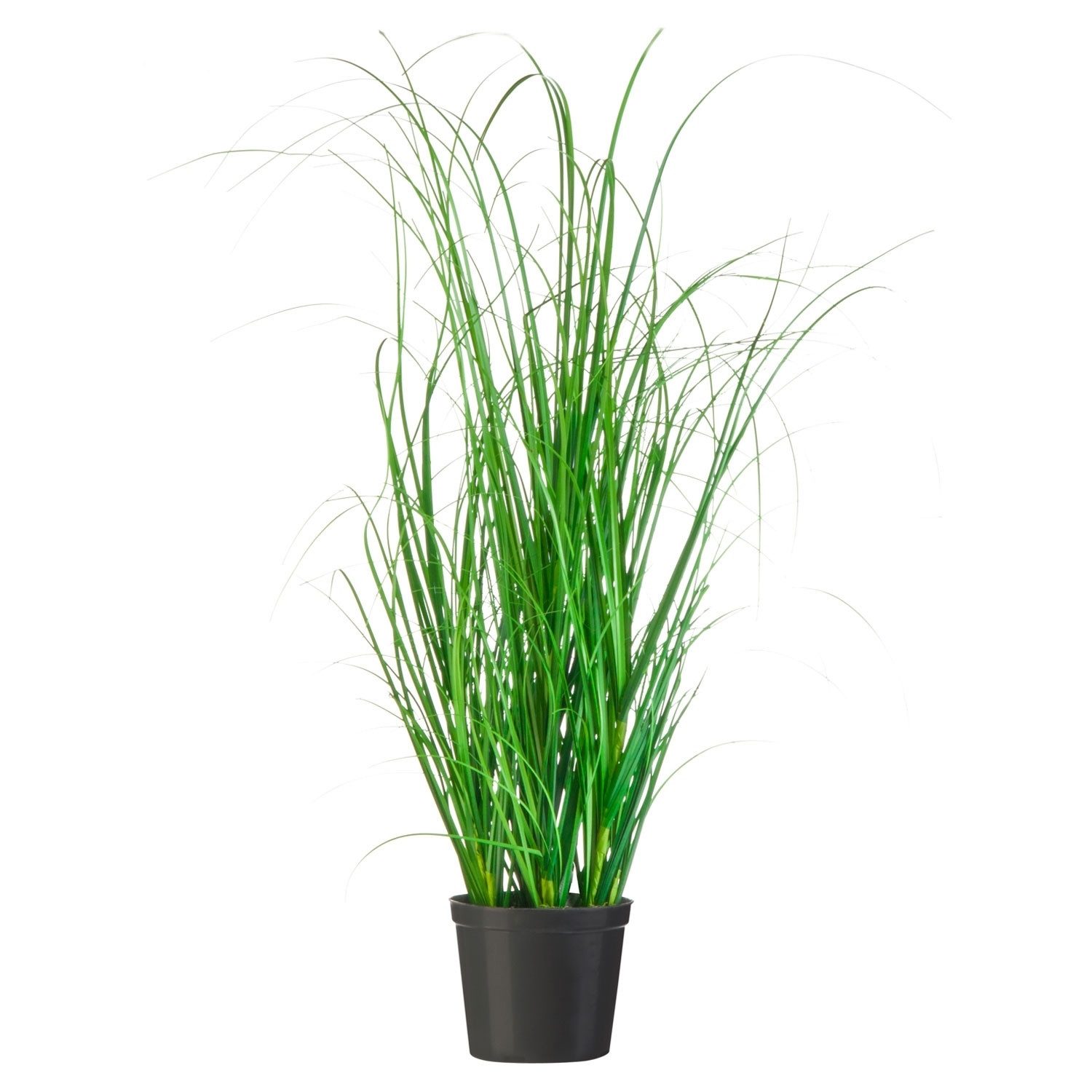 Kunstpflanze RANKIS, Grün, mit Kunststofftopf, naturgetreu, Grasbusch, Gasper, Höhe 60 cm