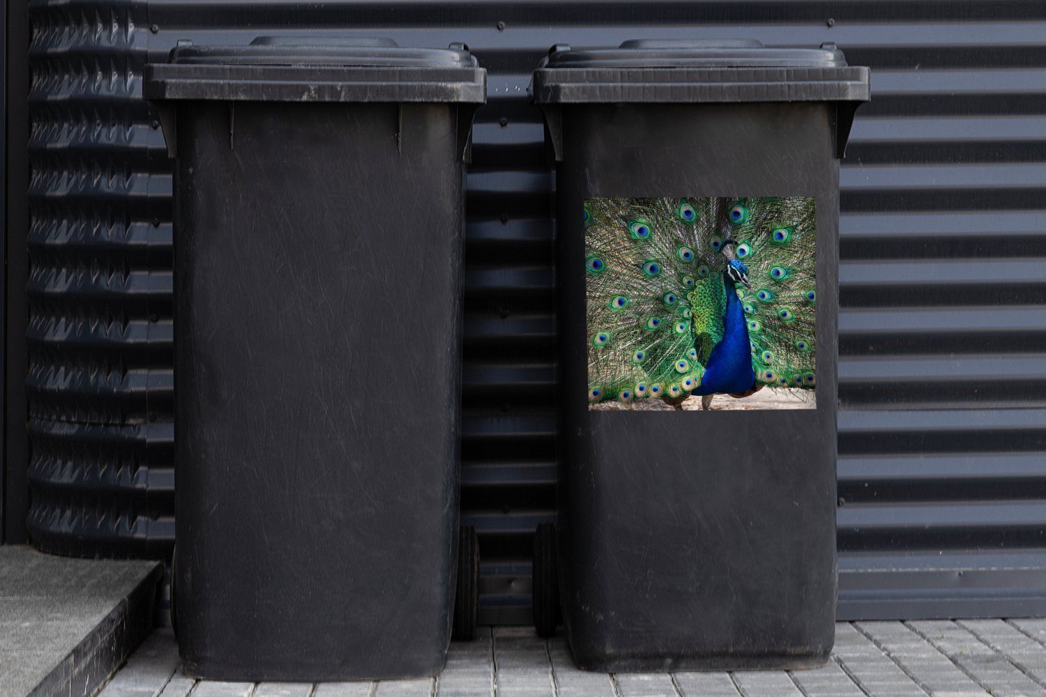 Abfalbehälter (1 Pfauenfedern Mülleimer-aufkleber, - St), MuchoWow Blau - Sticker, Wandsticker Container, Mülltonne, Grün