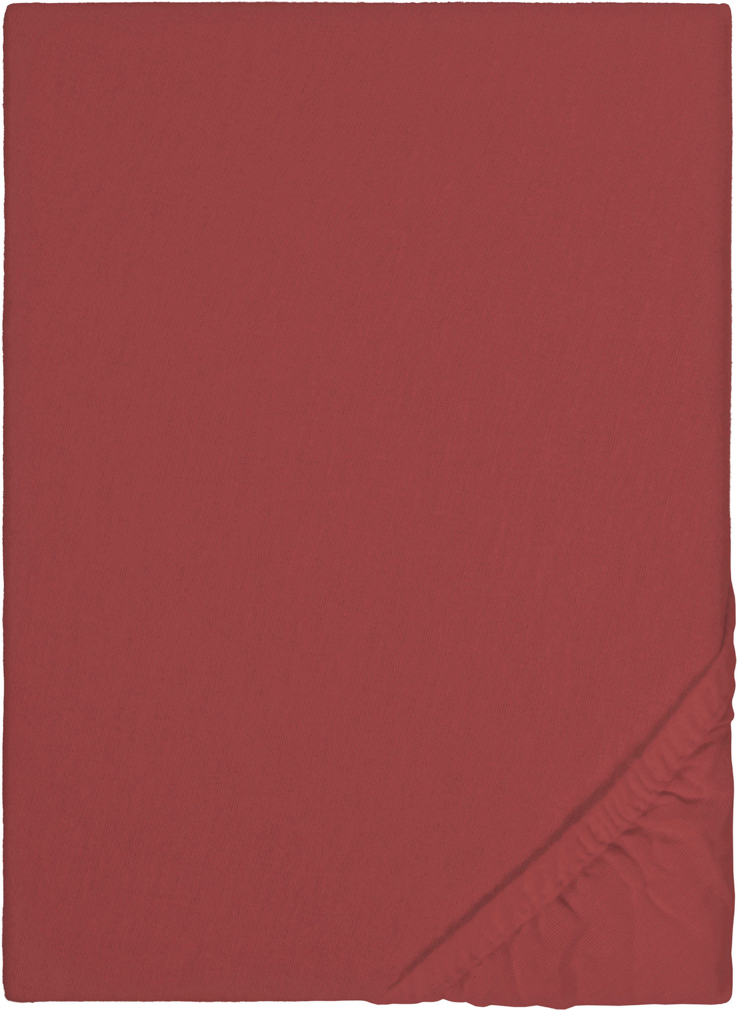 Biberna Spannbettlaken Biber in Gr. 90x200, günstig online kaufen