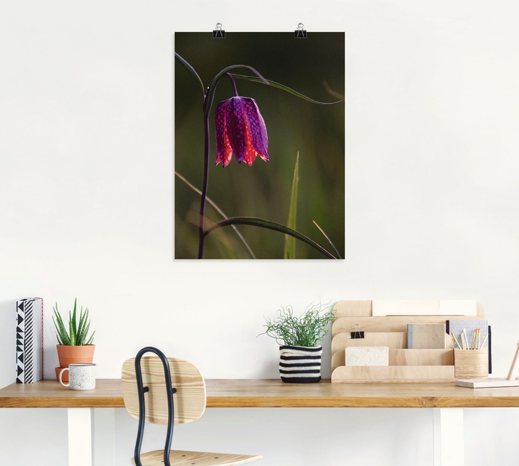 oder Größen Blumen Artland St), (1 Leinwandbild, Schachbrettblume, als Wandaufkleber in Poster Wandbild versch. Leuchtende Alubild,