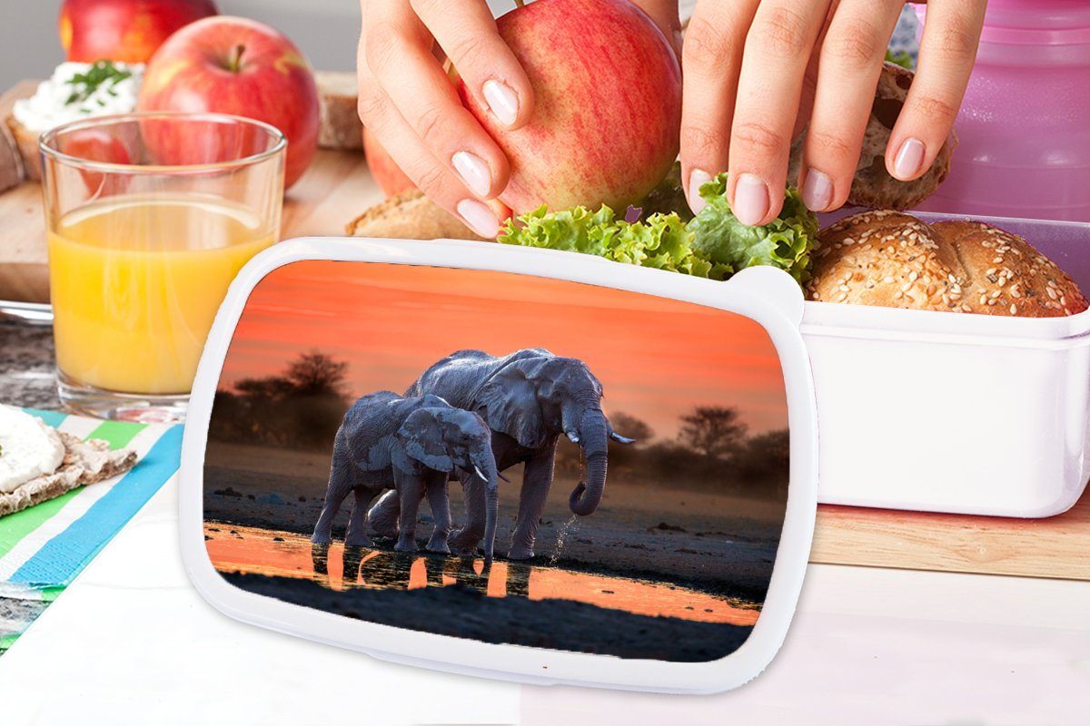 und Kunststoff, Mädchen - weiß MuchoWow - Erwachsene, Tiere Orange, für Elefant und Brotdose, für Jungs Lunchbox Brotbox - - Sonnenuntergang Kinder Wasser (2-tlg),