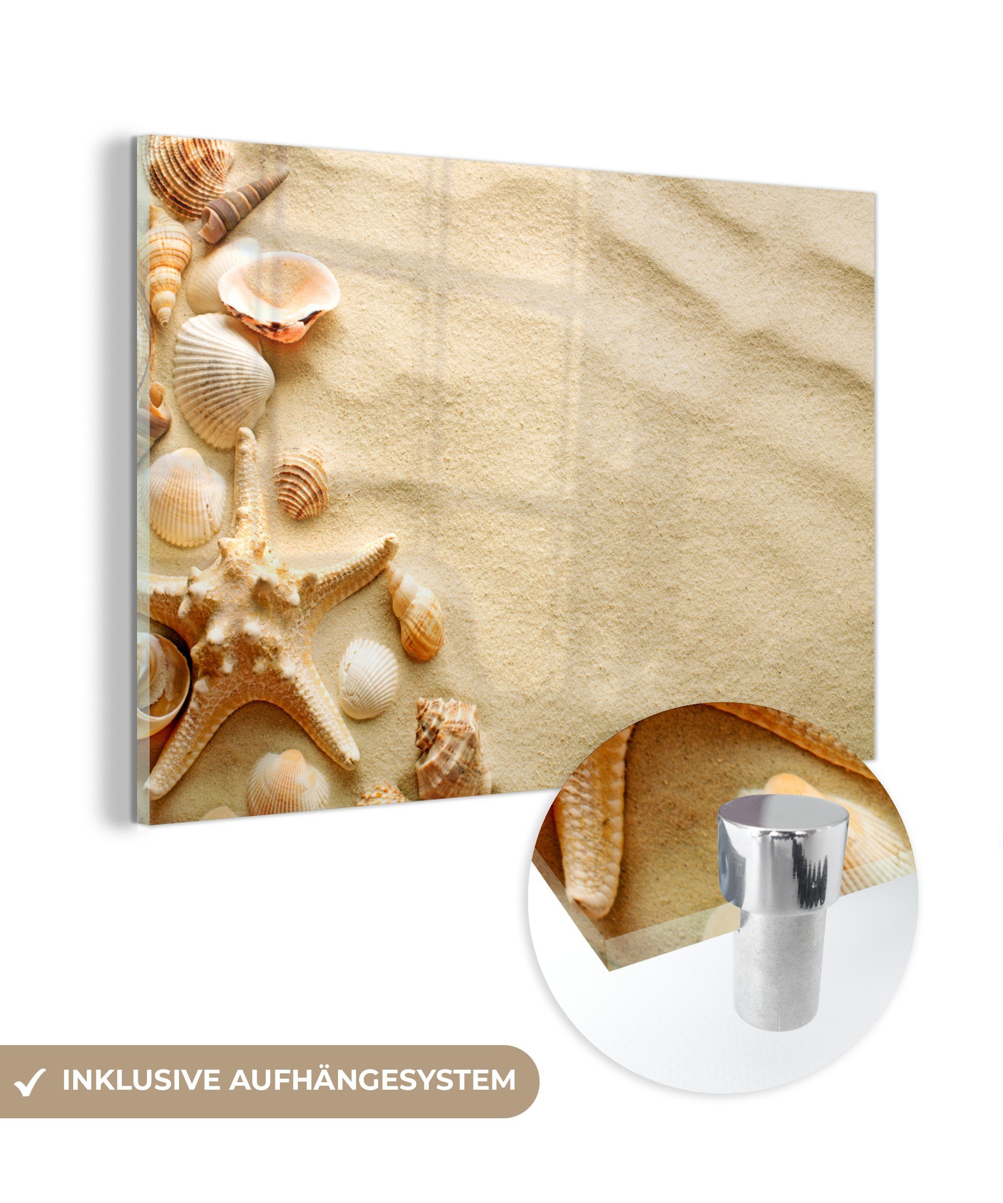 MuchoWow Acrylglasbild Muscheln - Sand - Strand, (1 St), Acrylglasbilder Wohnzimmer & Schlafzimmer