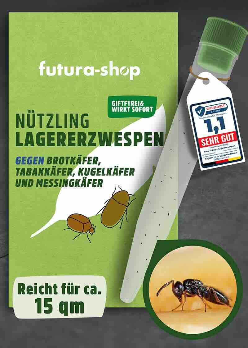 Insektenvernichter Schlupfwespen / Lagererzwespen gegen Brotkäfer, Tabakkäfer, Kugelkäfer