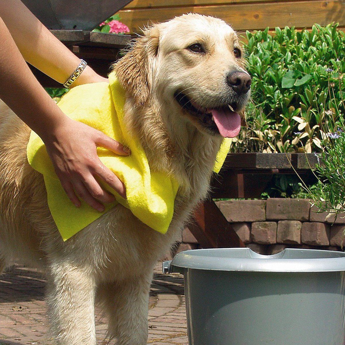 Hundebademantel Hundehandtuch gelb