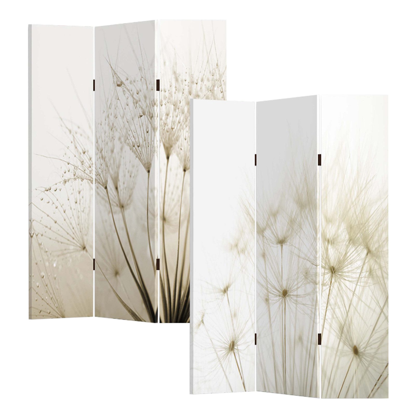 HTI-Living Paravent Paravent mit Naturmotiv Pusteblume Weiß (Stück, 1 St., günstig online kaufen