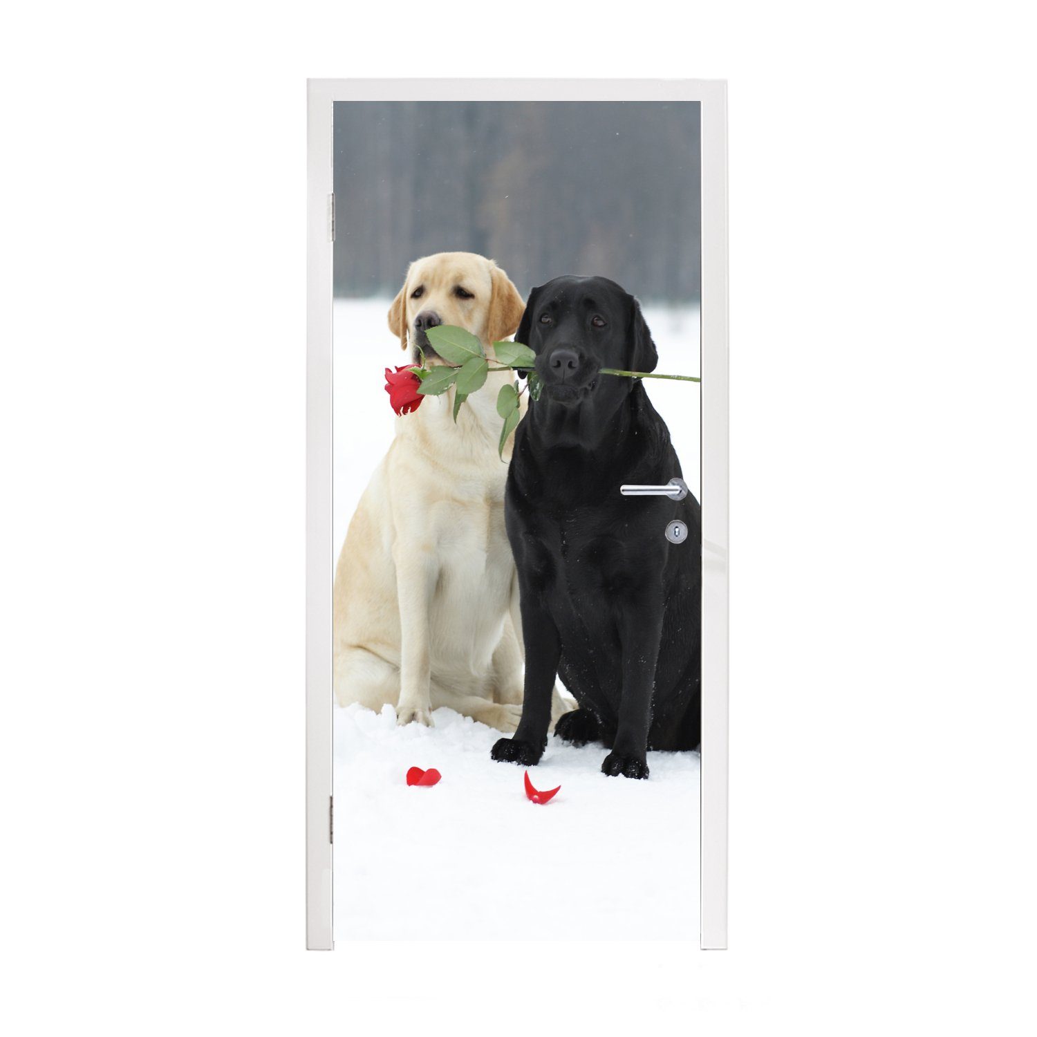 MuchoWow Türtapete Hund - Rosen - Schnee, Matt, bedruckt, (1 St), Fototapete für Tür, Türaufkleber, 75x205 cm | Türtapeten