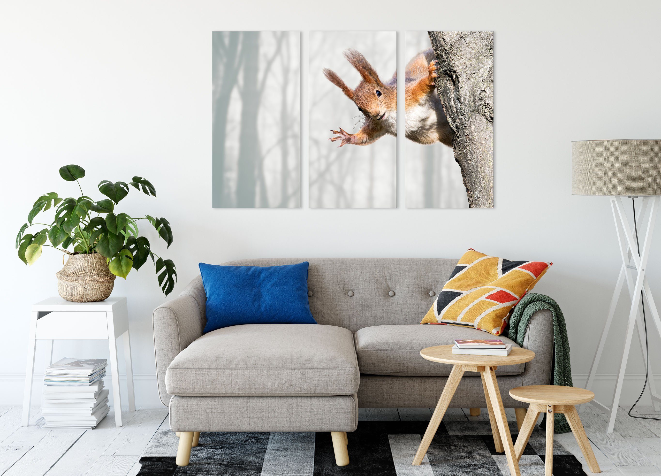 Leinwandbild 3Teiler Eichhörnchen Pixxprint St), rotes Neugierig fertig (120x80cm) Zackenaufhänger Leinwandbild Eichhörnchen, Neugierig (1 bespannt, inkl. rotes