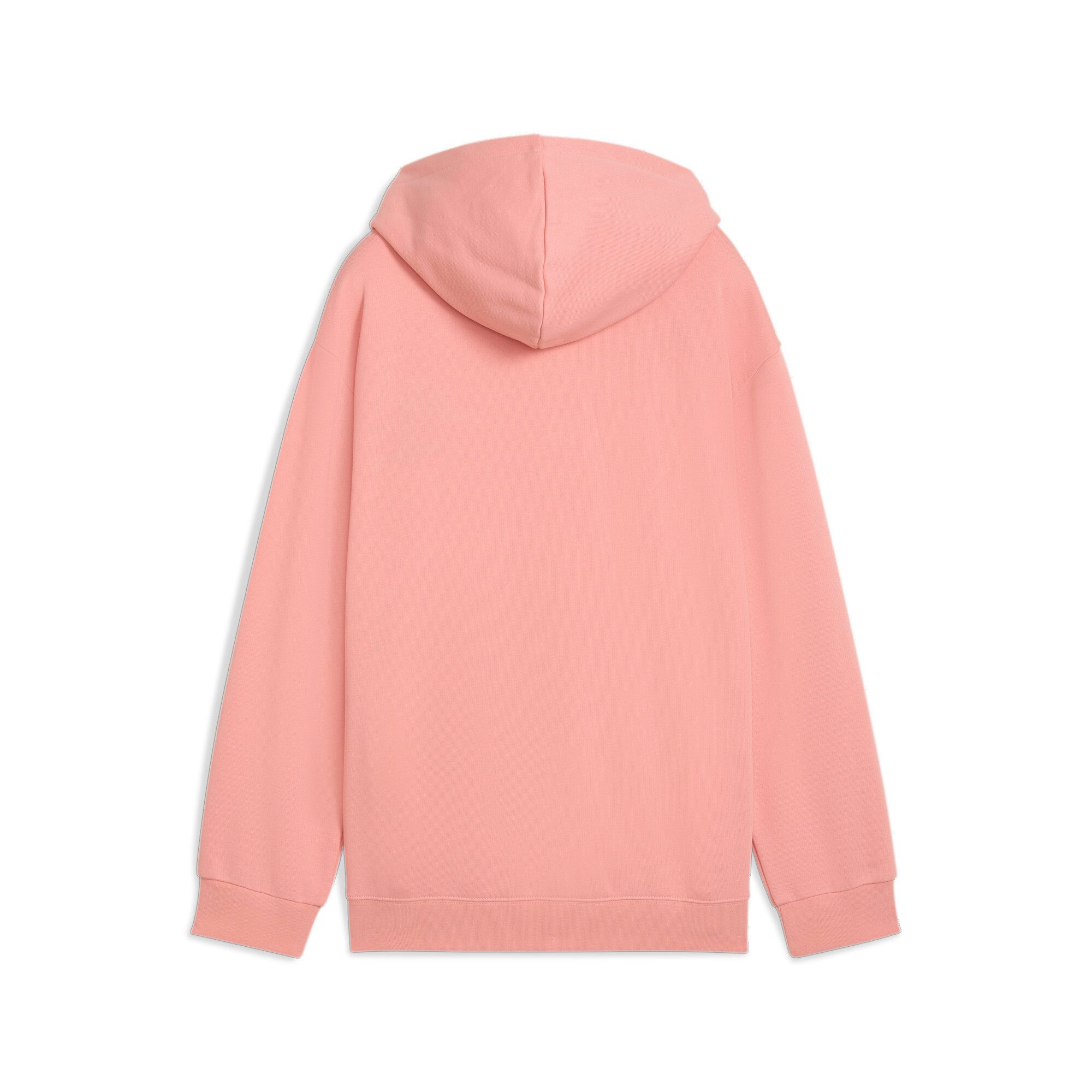 PUMA Kapuzensweatshirt FLAMING LOVE HOODIE TR günstig online kaufen