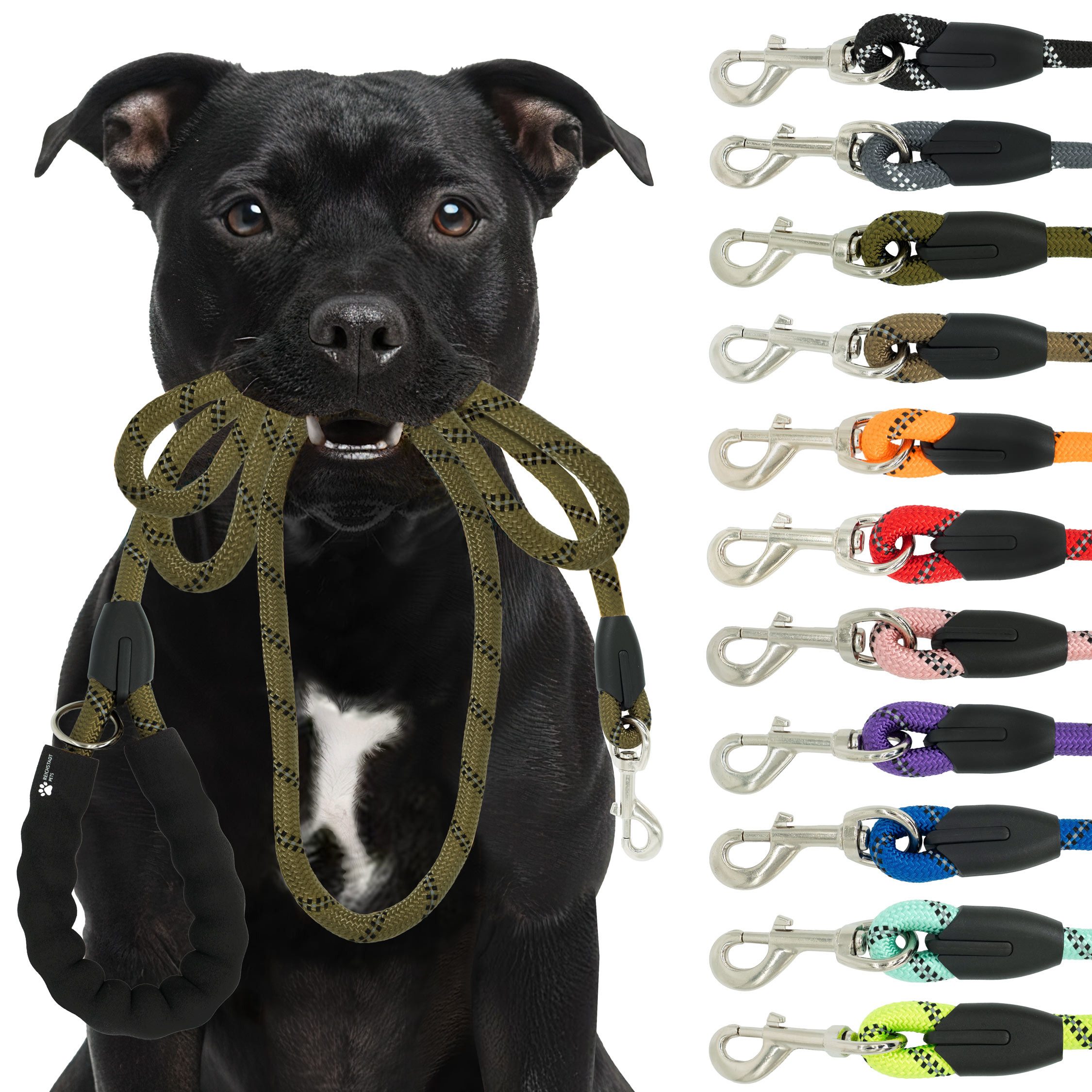 Reichstadt Hundeleine RS Pets Führleine Nylon 25RSP084, Nylon, Ergonomischer EVA-gepolsterter Griff für Blasenschutz von Reichstadt
