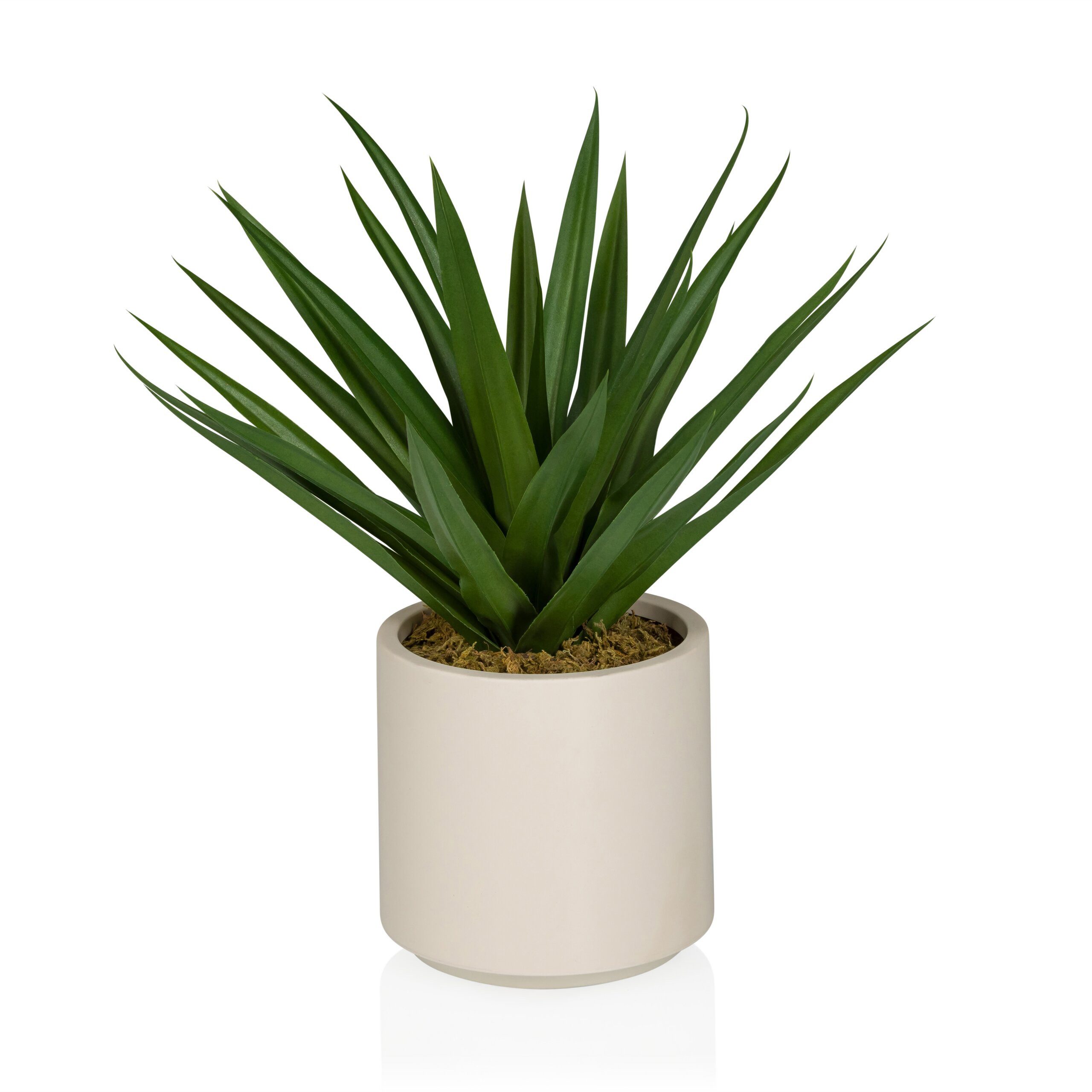 Kunstpflanze Agave Künstliche Pflanze im Topf Höhe 45.0 cm Agave, hjh OFFICE, Höhe 45.0 cm, Künstliche Zimmerpflanze Agave im beigen Kunststoff-Topf