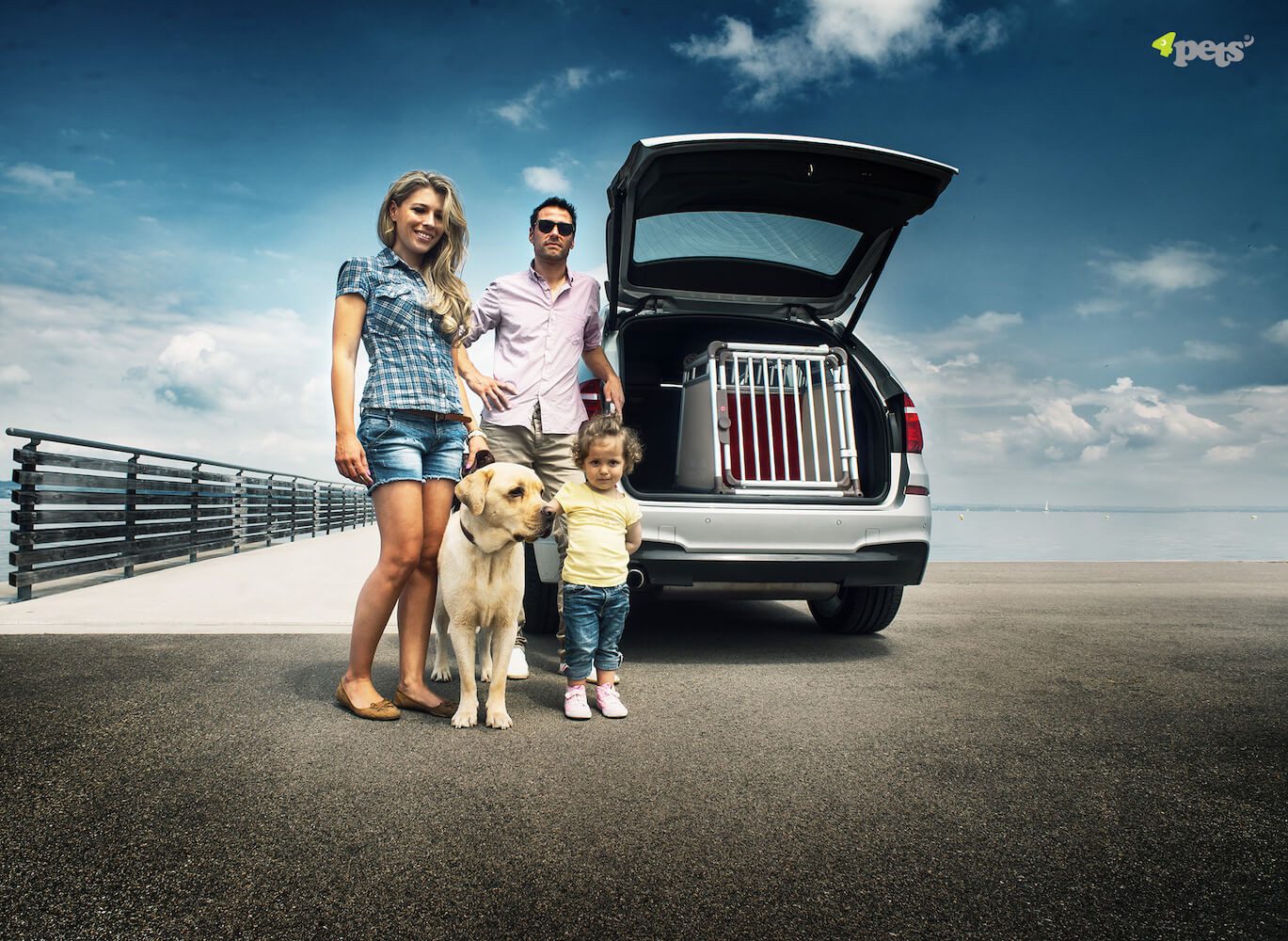 4pets Hunde-Transportbox Dog Box ComfortLine One Gr. S Hundebox