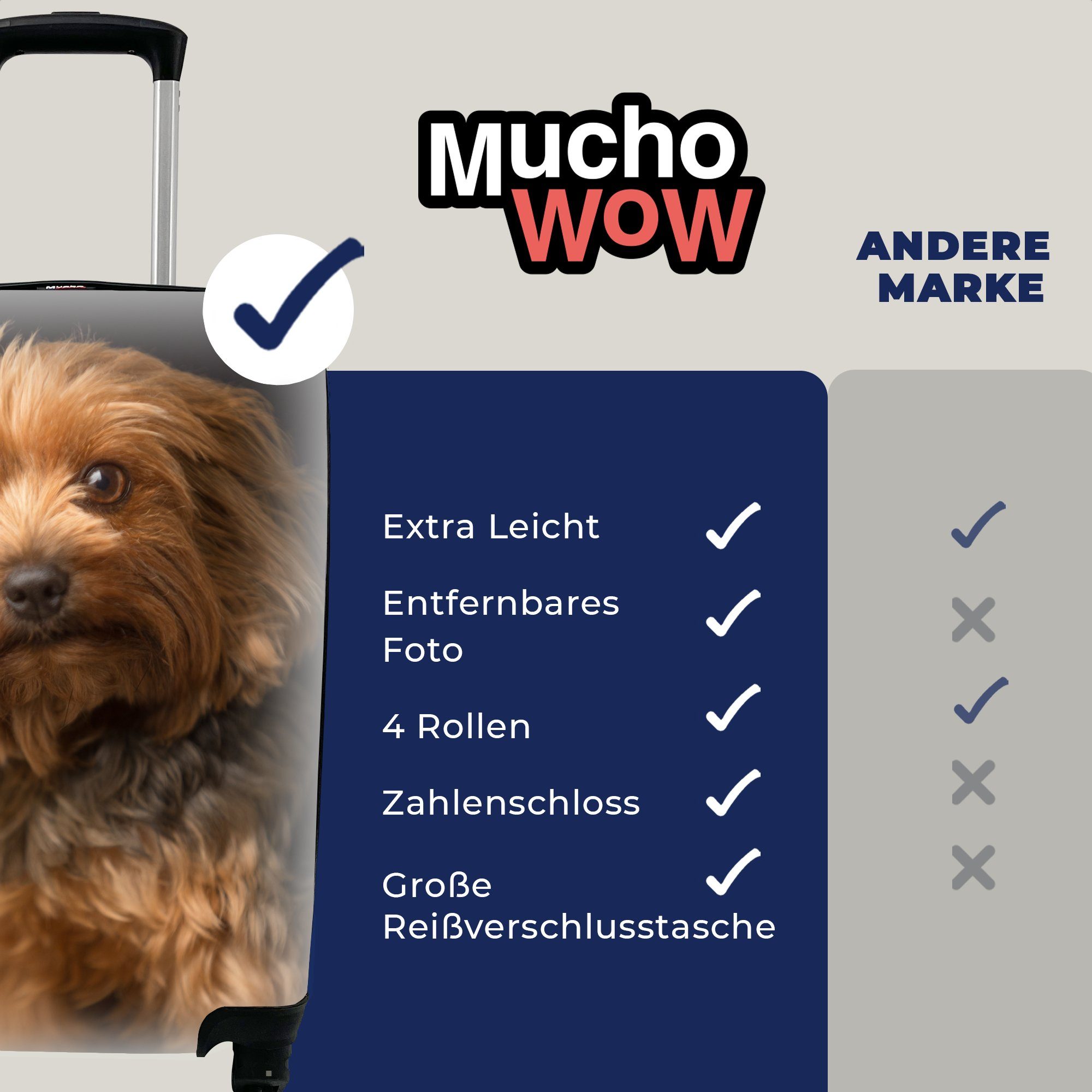 MuchoWow Handgepäckkoffer Porträt eines goldbraunen Terriers, rollen, Trolley, 4 für Yorkshire Reisetasche Handgepäck Rollen, Ferien, mit Reisekoffer