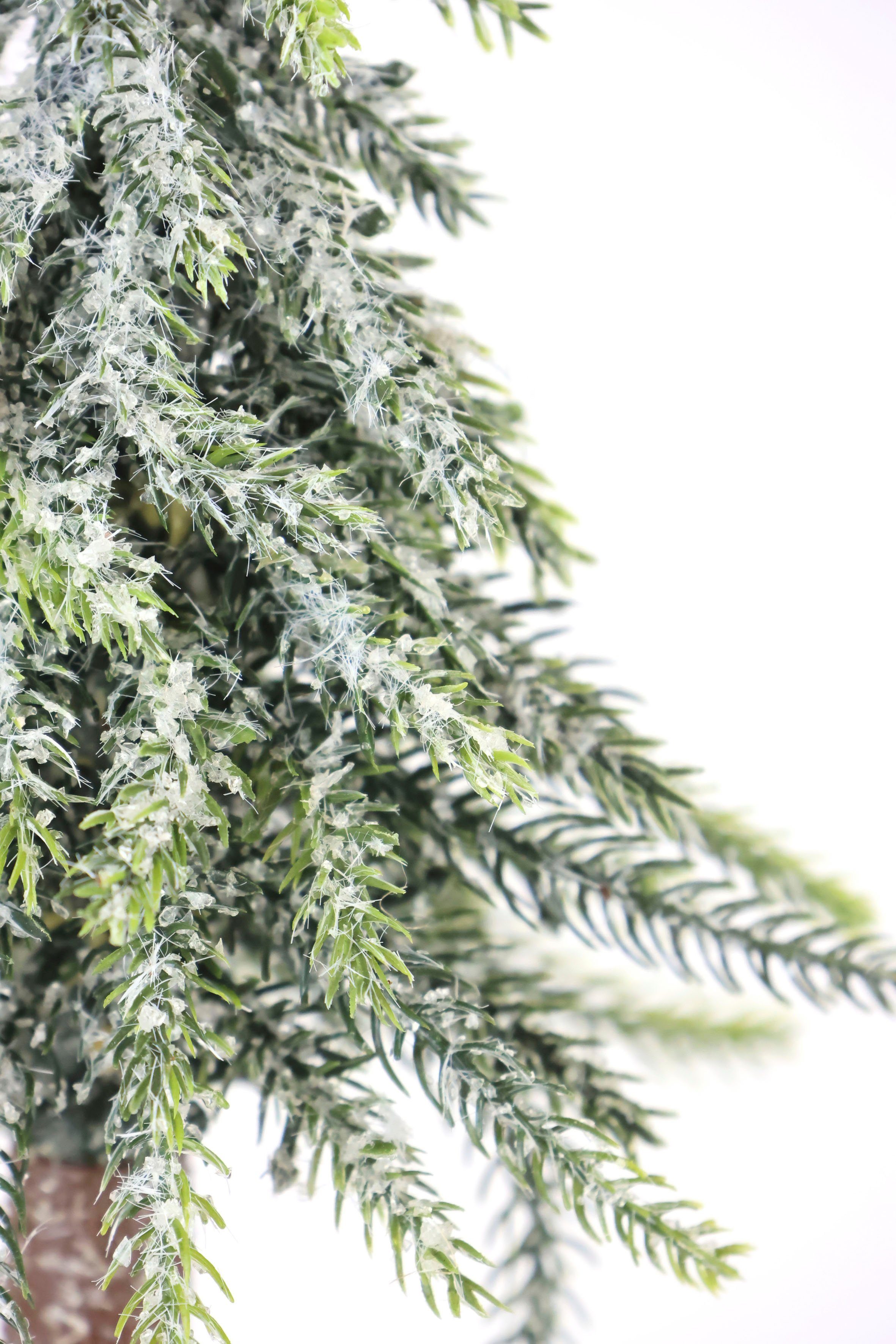 I.GE.A. Dekobaum Weihnachtsdeko, Weihnachtsbaum (Set, 2 St), Künstlicher mini Tannenbaum geeist auf Holzsockel 25 cm – Bild 5 von 5