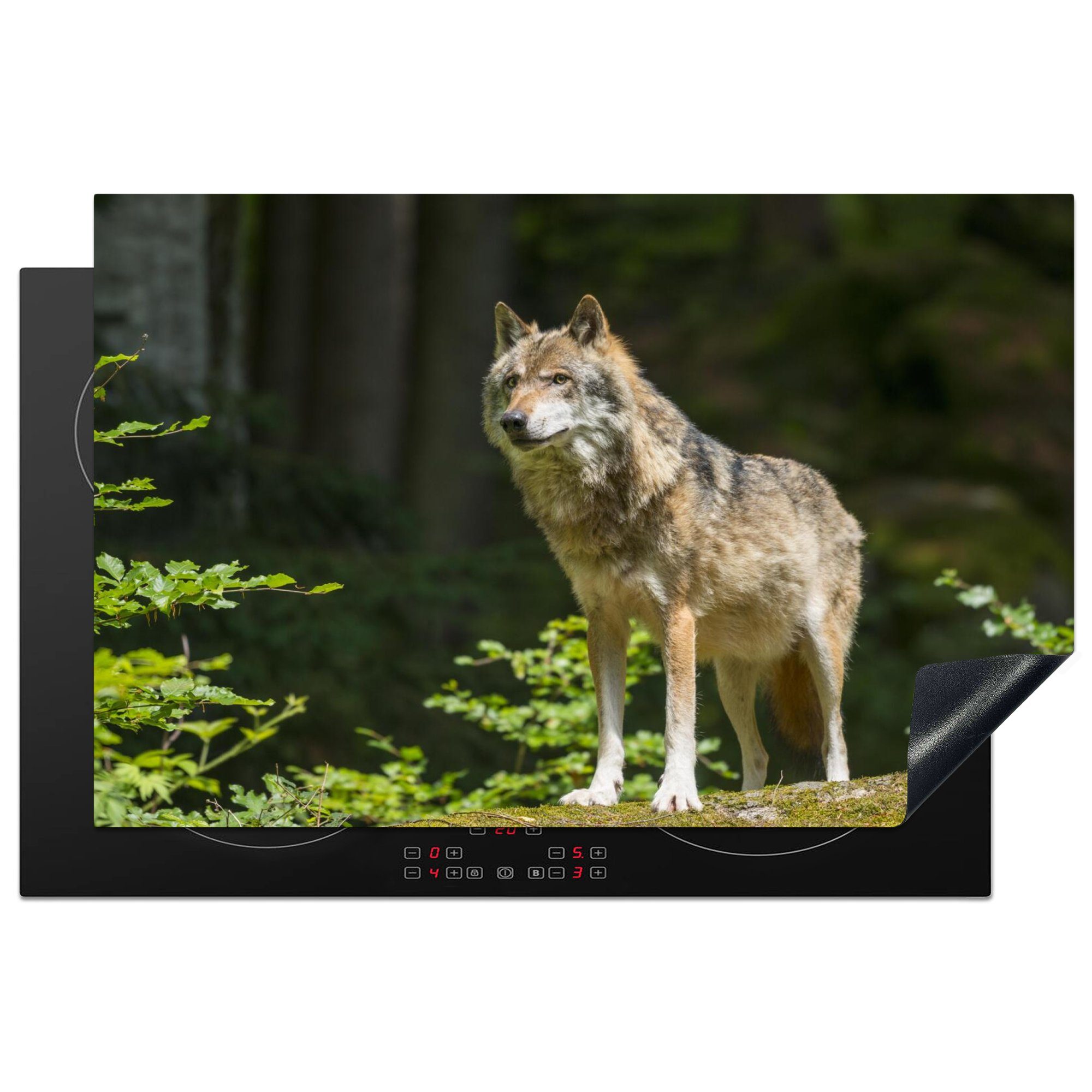 MuchoWow Herdblende-/Abdeckplatte Wolf - Wald - Tiere, Vinyl, (1 tlg), 81x52 cm, Induktionskochfeld Schutz für die küche, Ceranfeldabdeckung