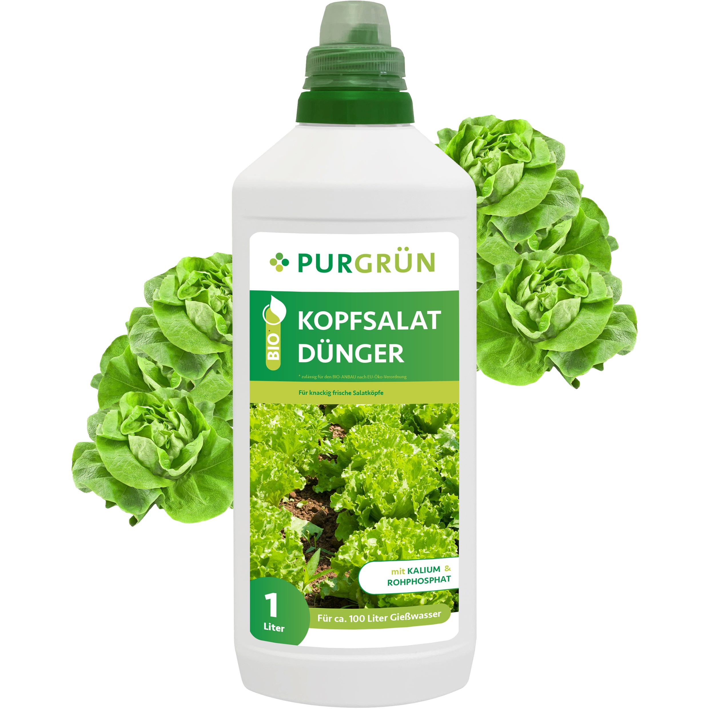 Gemüsedünger Purgrün Bio Kopfsalat Dünger, NPK 4+1+7, Algenextrakt, 1 Liter