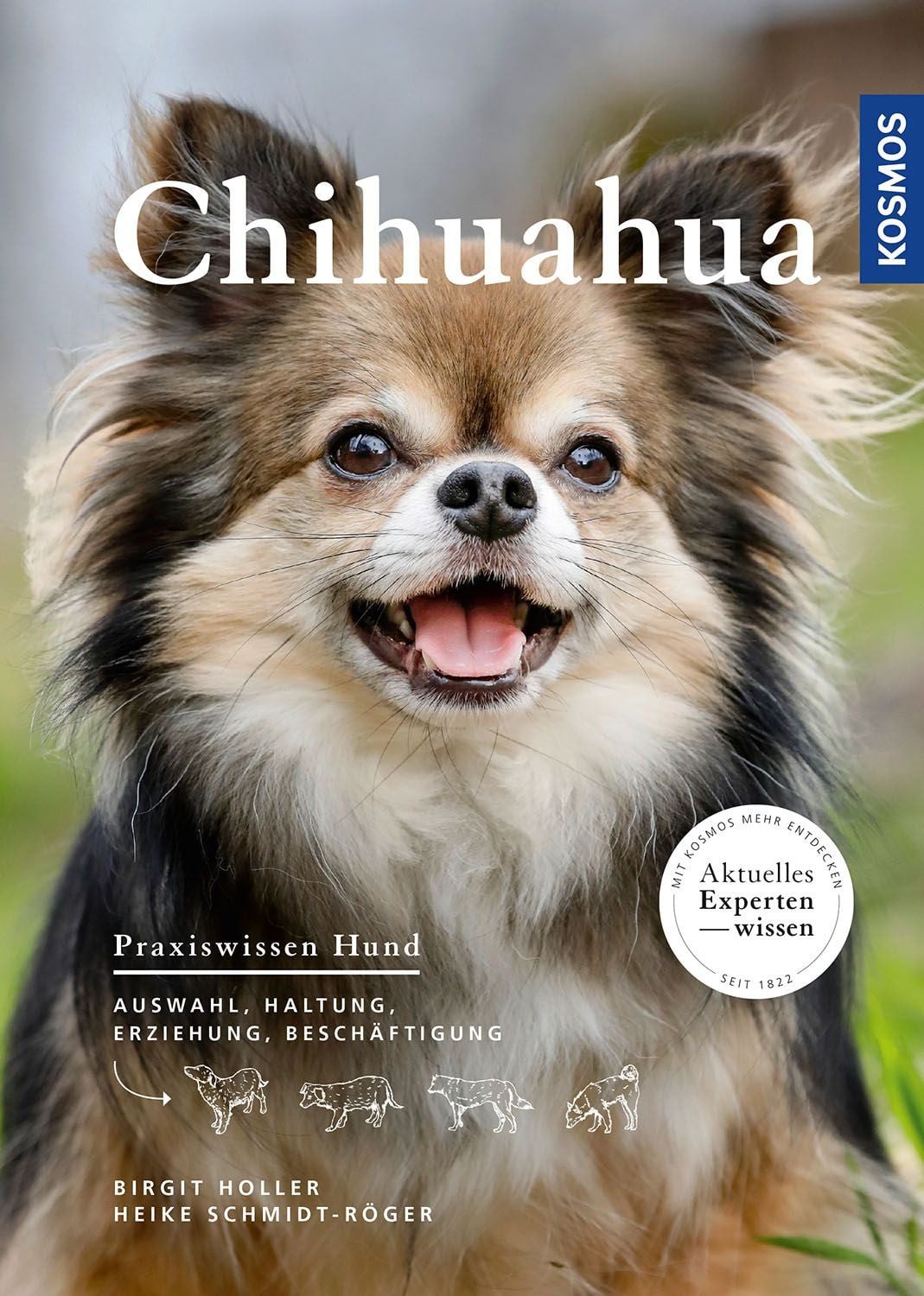 Chihuahua / Birgit Holler, Heike Schmidt-Röger
