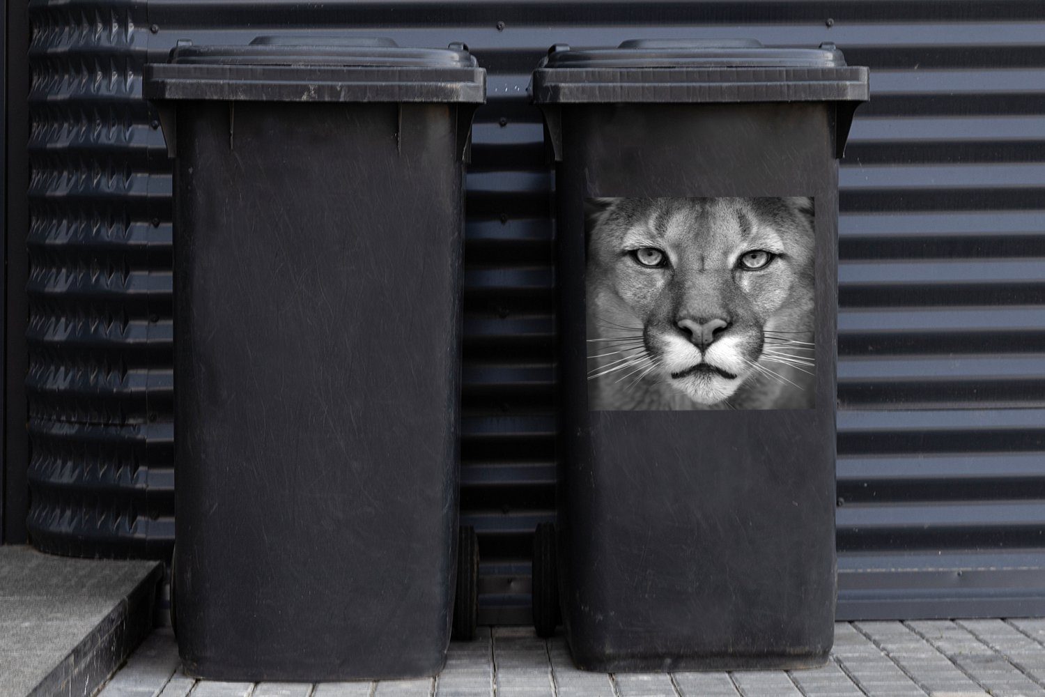 MuchoWow - St), (1 Schwarz Weiß - Container, Sticker, Abfalbehälter Wildlife Wandsticker - Mülltonne, Panther Mülleimer-aufkleber,