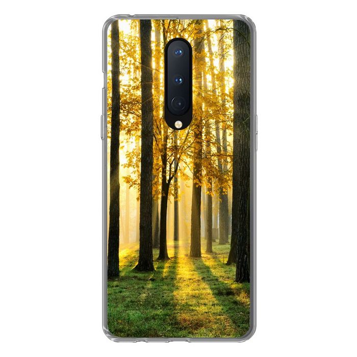 MuchoWow Handyhülle Wald - Sonne - Bäume - Gras - Landschaft - Natur Phone Case Handyhülle OnePlus 8 Silikon Schutzhülle