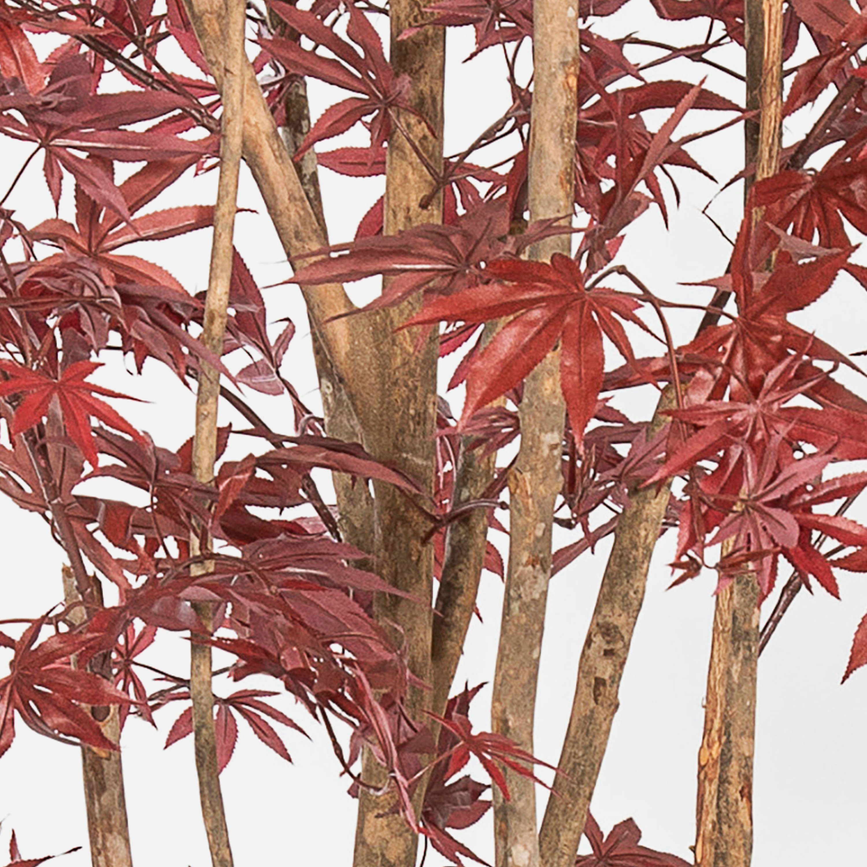 Kunstbaum Japanischer Kunst Ahornbaum ILIANU, Echtstämme, rot, 180cm Ahorn (Japanischer Ahorn), artplants, Höhe 180.0 cm