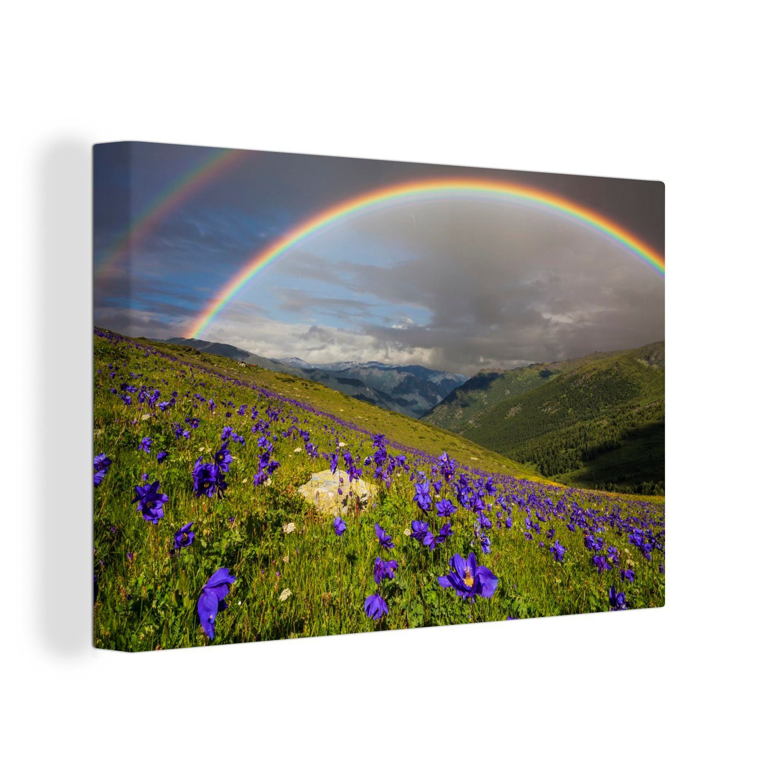 OneMillionCanvasses® Leinwandbild Ein Regenbogen über den lila Pflanzen auf der Wiese, (1 St), Wandbild Leinwandbilder, Aufhängefertig, Wanddeko, 30x20 cm