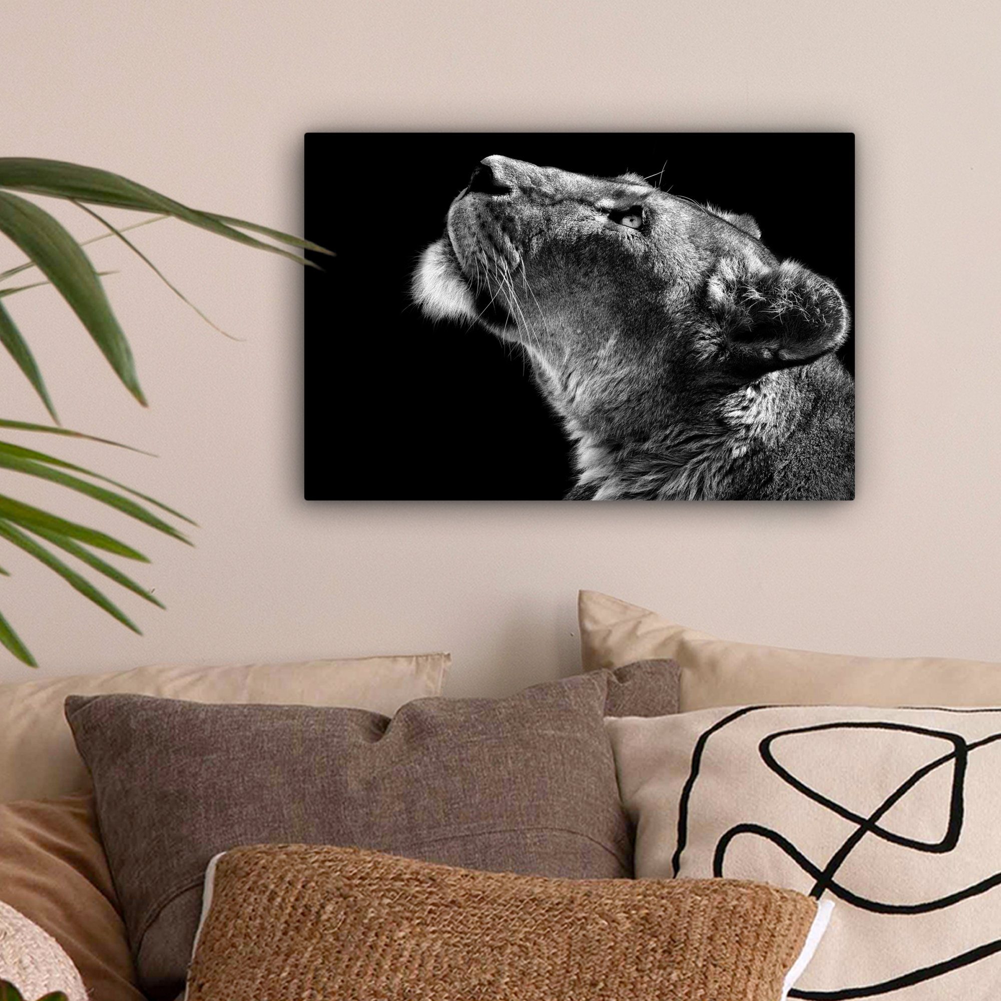 OneMillionCanvasses® Leinwandbild Löwe - Tiere - Schwarz und weiß, Fotodruc günstig online kaufen
