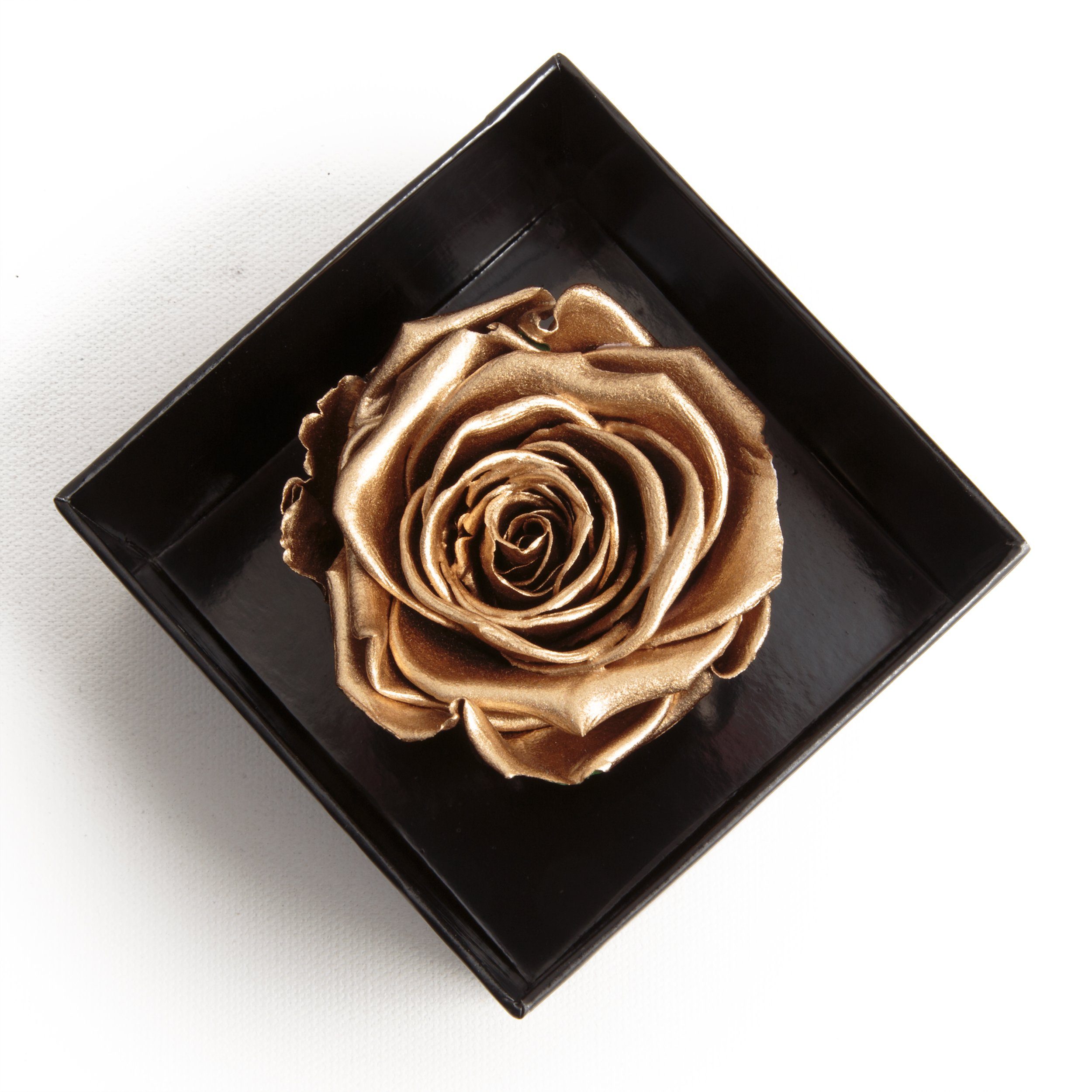 Echte Rose You Gold Liebesbeweis konserviert Idee Rose, Box 6 cm, SCHULZ ROSEMARIE Infinity Love Kunstblume Geschenk Heidelberg, Höhe I Rose