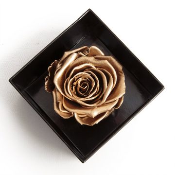 Kunstblume Infinity Rose Box I Love You Geschenk Idee Liebesbeweis Rose, ROSEMARIE SCHULZ Heidelberg, Höhe 6 cm, Echte Rose konserviert
