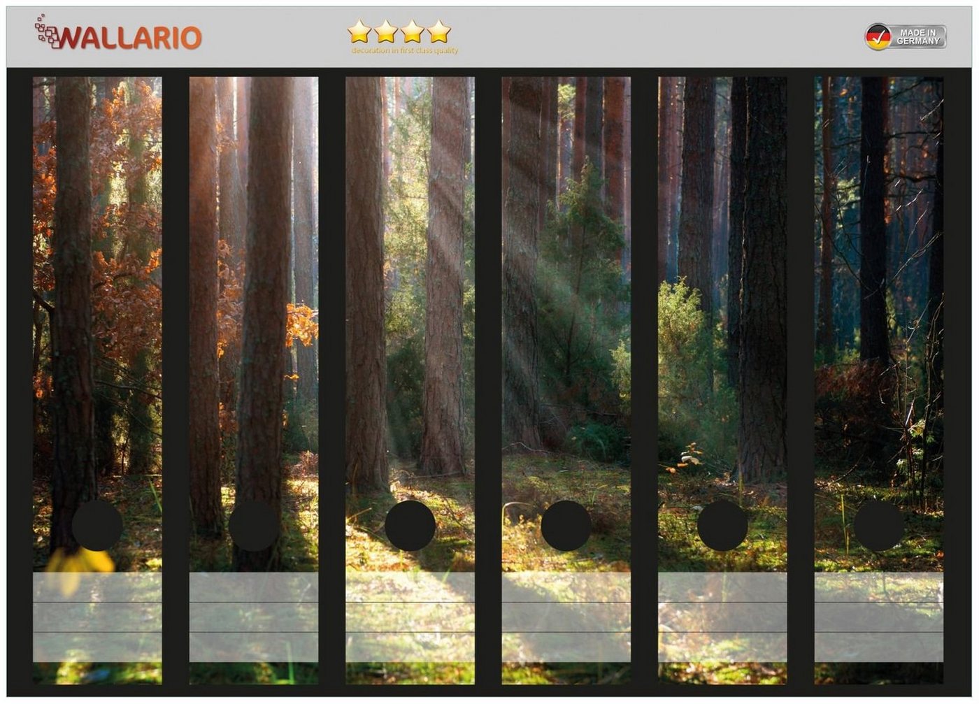 Thumbnail - Wallario Etiketten Sonnenstrahlen im Herbstwald, Ordnerrücken-Sticker in verschiedenen Ausführungen