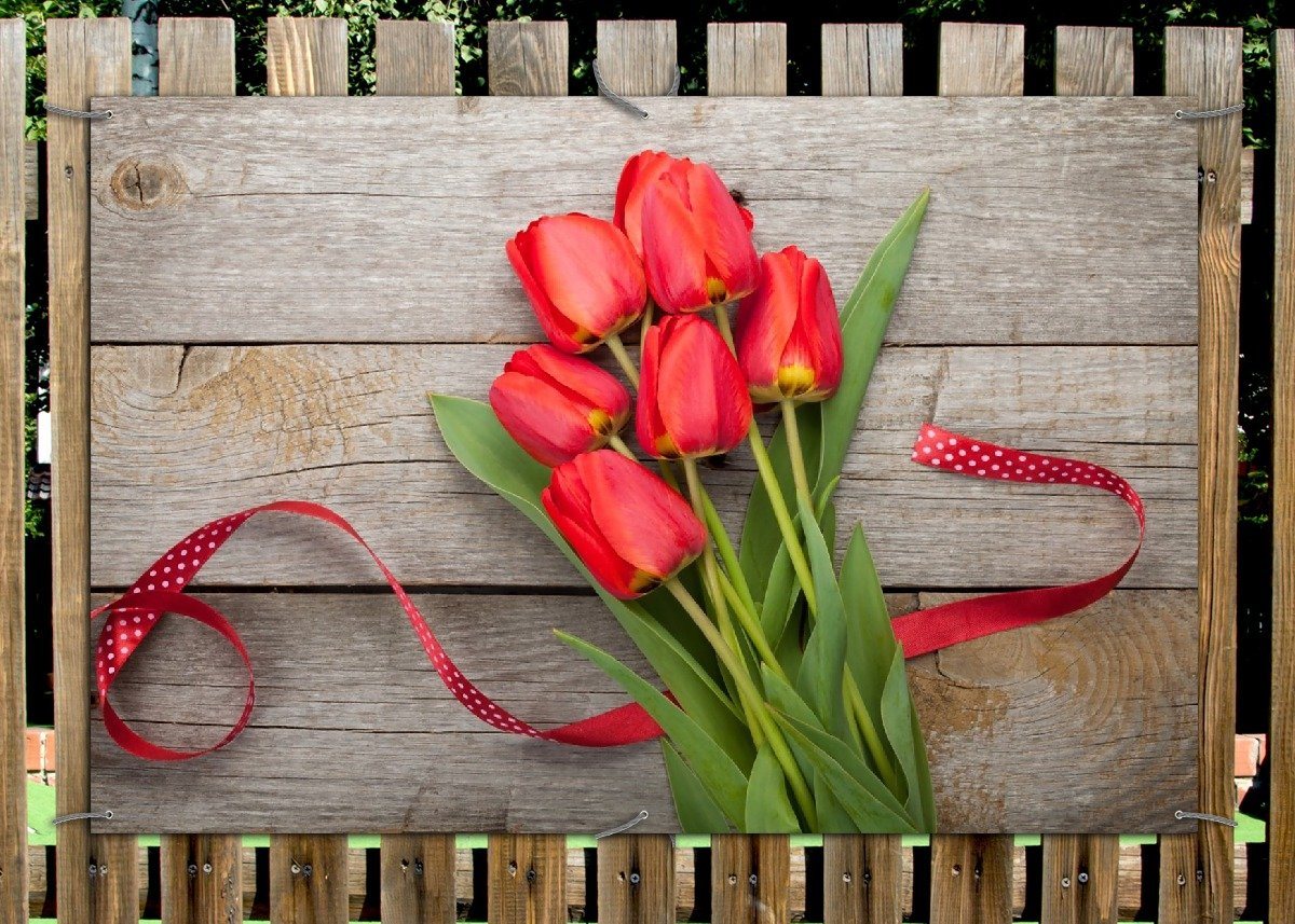Thumbnail - Wallario Sichtschutzzaunmatten Rote Tulpen auf einem alten Holztisch
