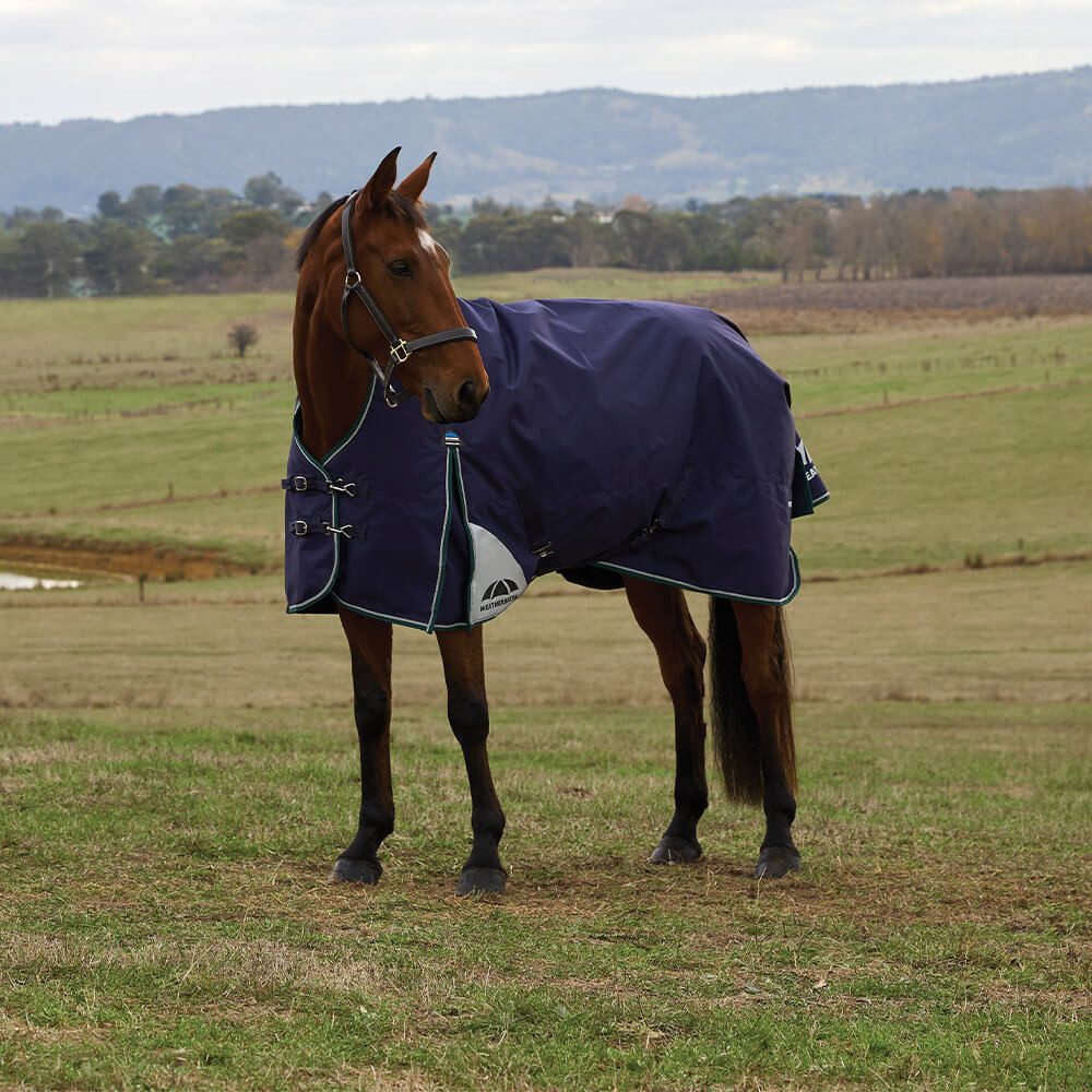 WeatherBeeta Pferde-Thermodecke Weatherbeeta Comfitec Plus Dynamic Turnout High Neck 100g