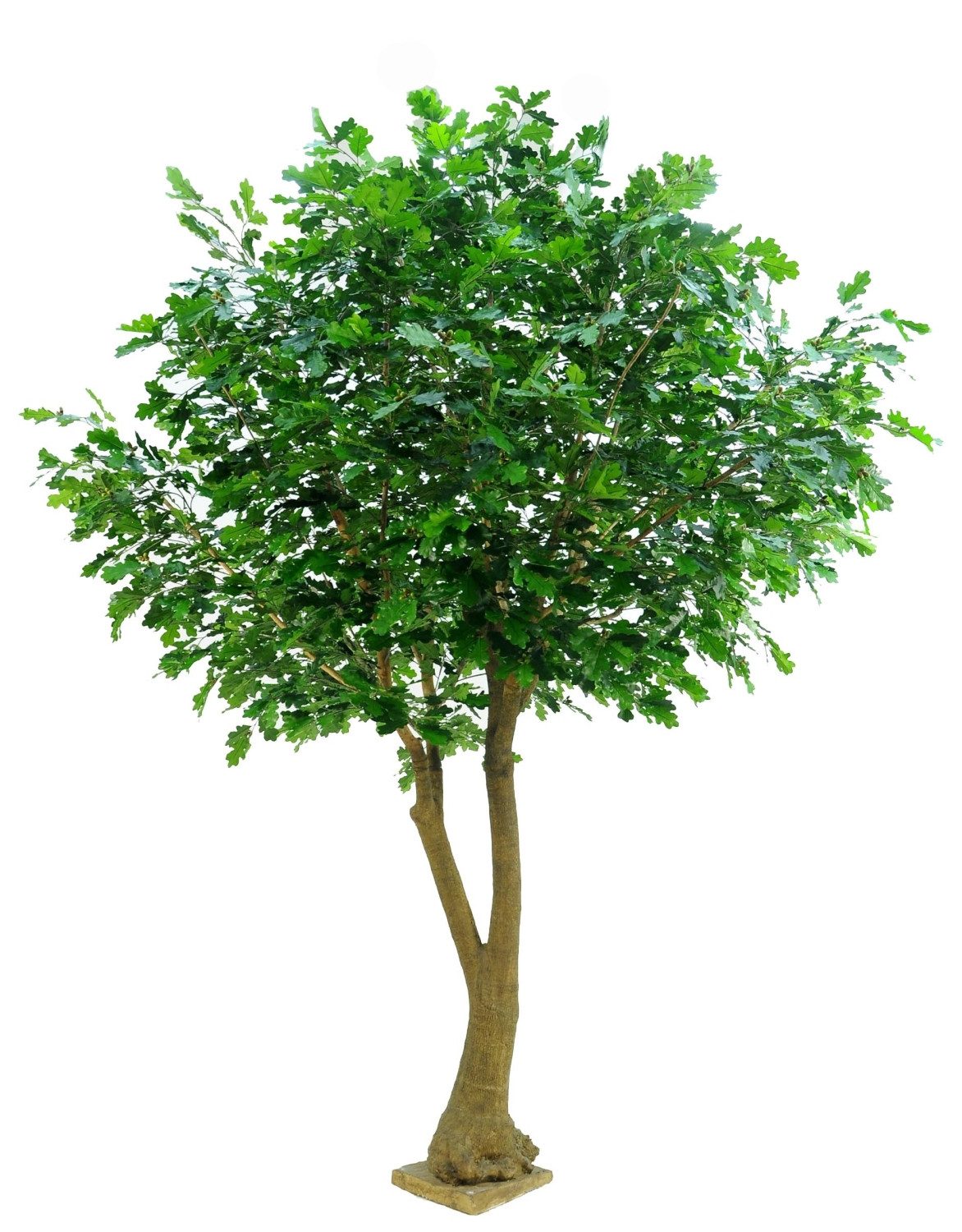 Kunstbaum Künstliche Eiche CHARON, Kunststamm, Früchte, 350cm Eiche, artplants, Höhe 350.0 cm