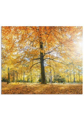 Artland Küchenrückwand Herbstwald Panorama (1-...