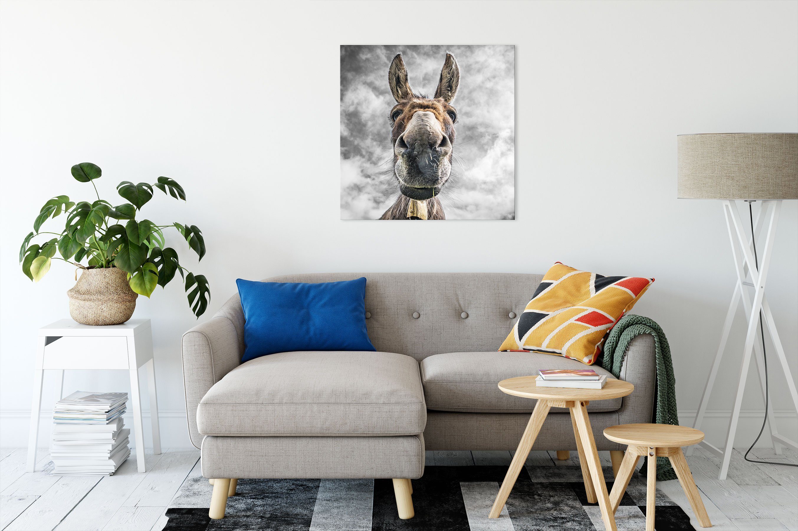 inkl. Lustiger Lustiger Leinwandbild Leinwandbild Esel, bespannt, Zackenaufhänger (1 fertig St), Esel Pixxprint