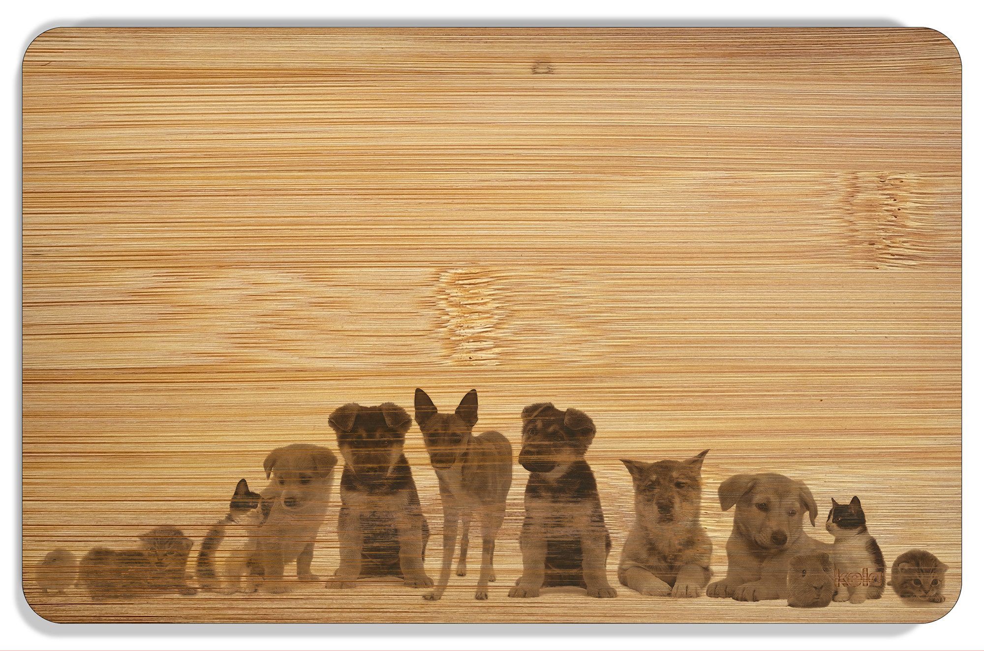 Wallario Schneidebrett Süße Haustiere - Katzen Hunde Hamster Küken, (1-St), 14x22cm