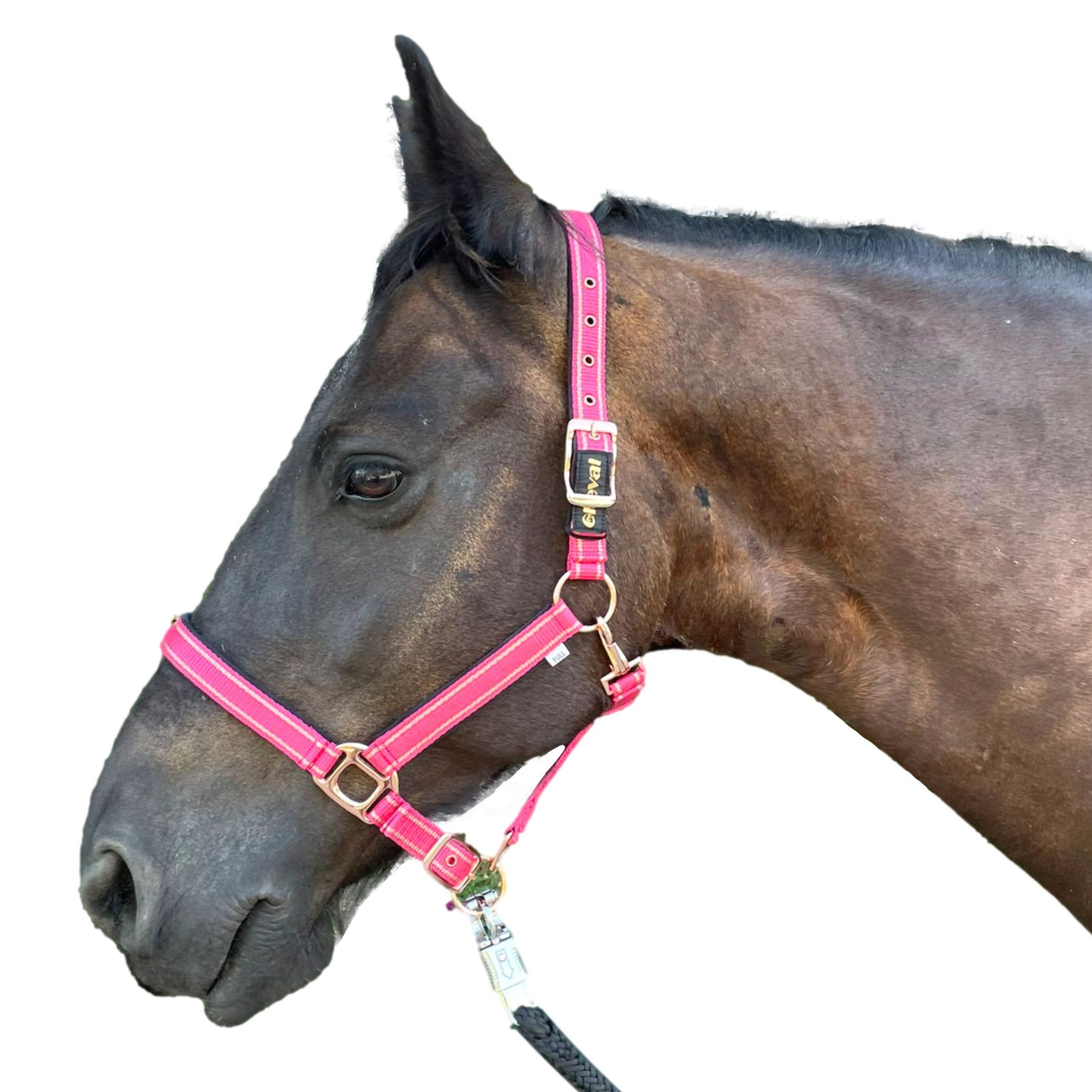 Pferdelinis Halfter Halfter für Pferde Glitzer rosegold, Halfter Pferd, 2-fach verstellbar, 2-fach verstellbar