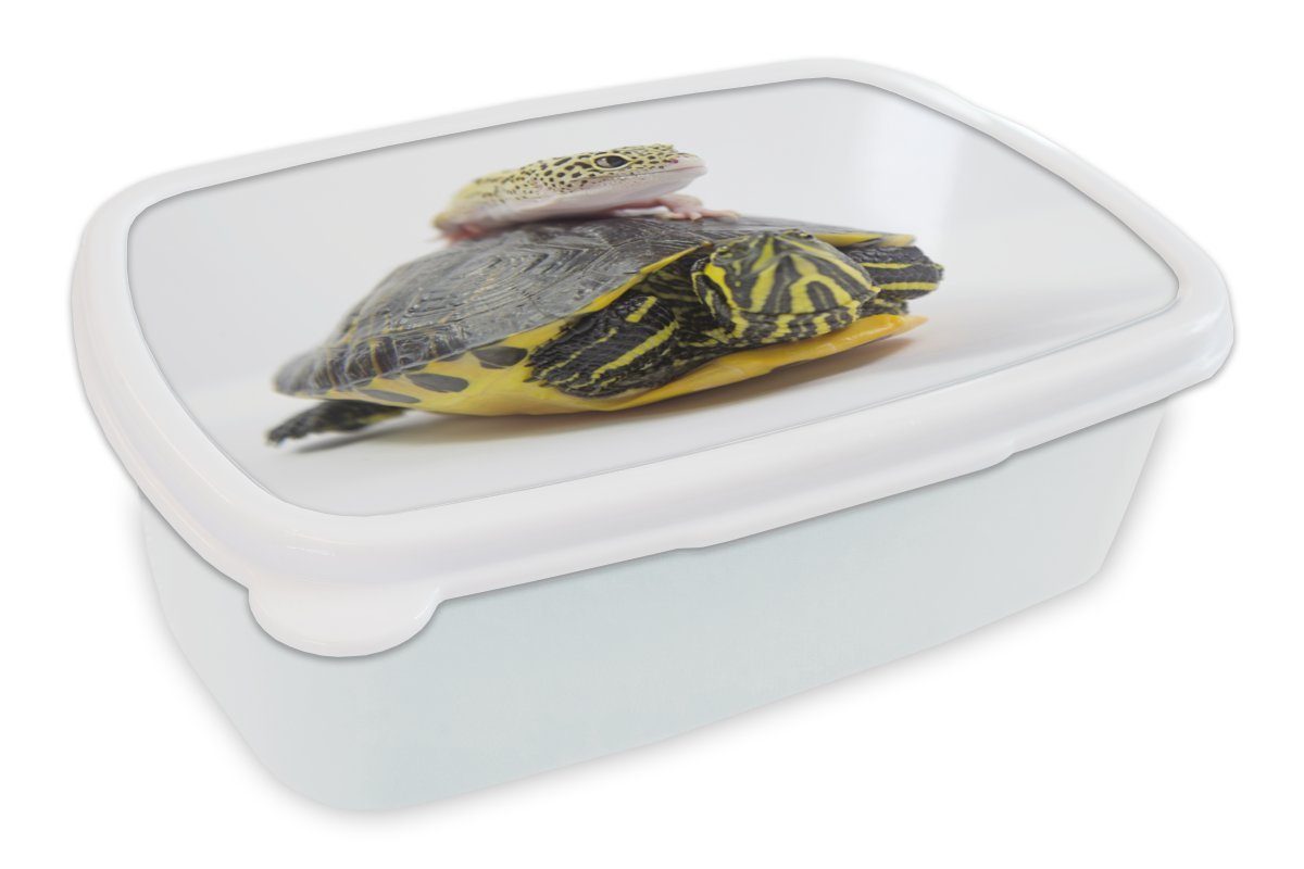 MuchoWow Lunchbox Gecko auf einer Schildkröte, Kunststoff, (2-tlg), Brotbox für Kinder und Erwachsene, Brotdose, für Jungs und Mädchen weiß