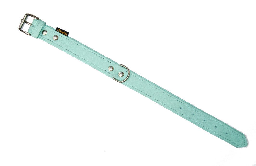 HEIM Hunde-Halsband Halsband + Führleine "Colour" mint, verschiedene Breiten und Längen