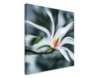 Sinus Art Leinwandbild Naturfotografie – Weiße Magnolie auf Leinwand