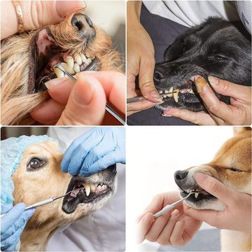 COOL-i ® Tier-Zahnpflegeset, Zahnpflege für Tiere,Edelstahl Zahnpflege Set 3 Stück