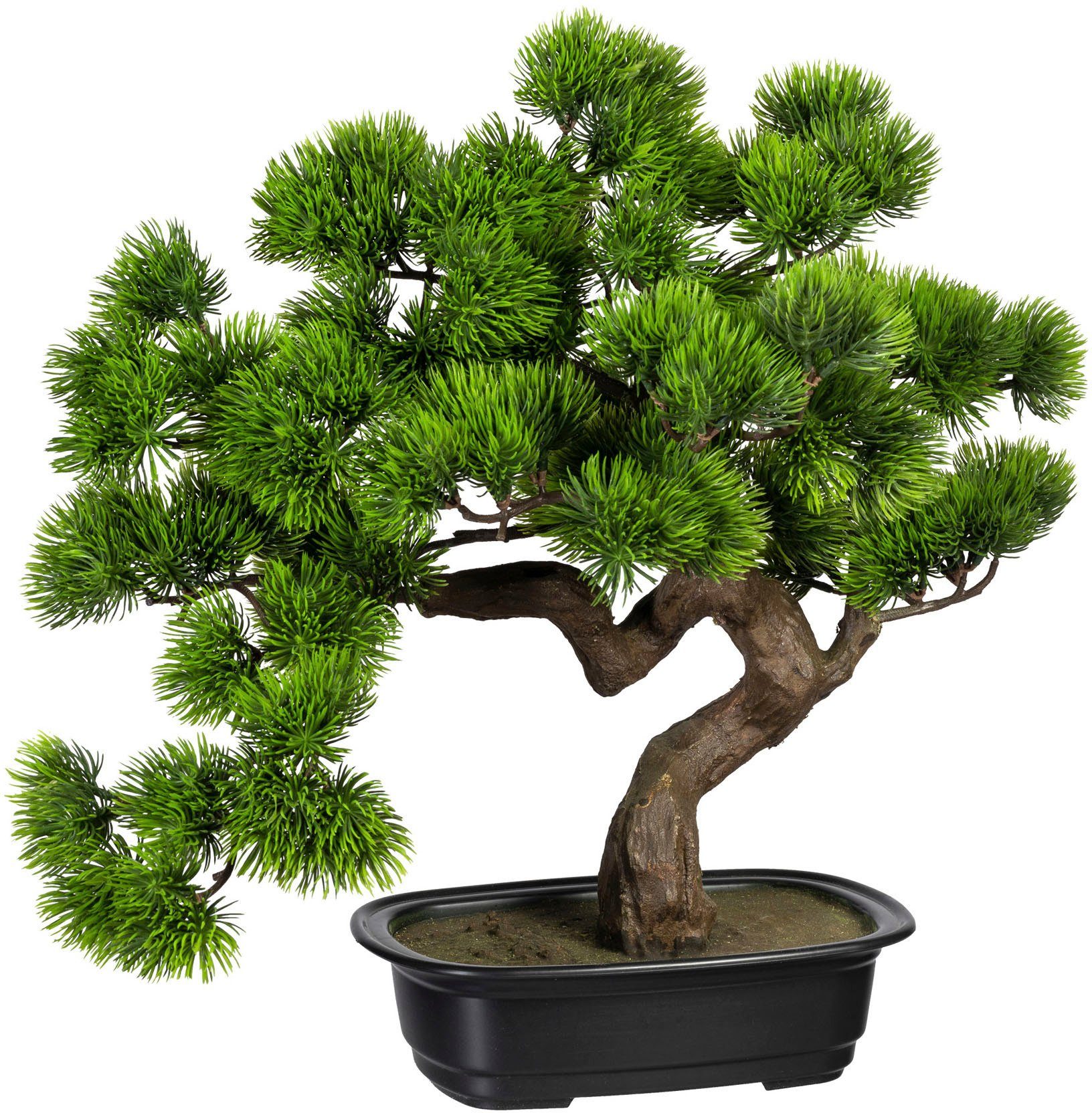 Kunstbonsai Bonsai Kiefer Bonsai Kiefer, Creativ green, Höhe 40 cm günstig online kaufen